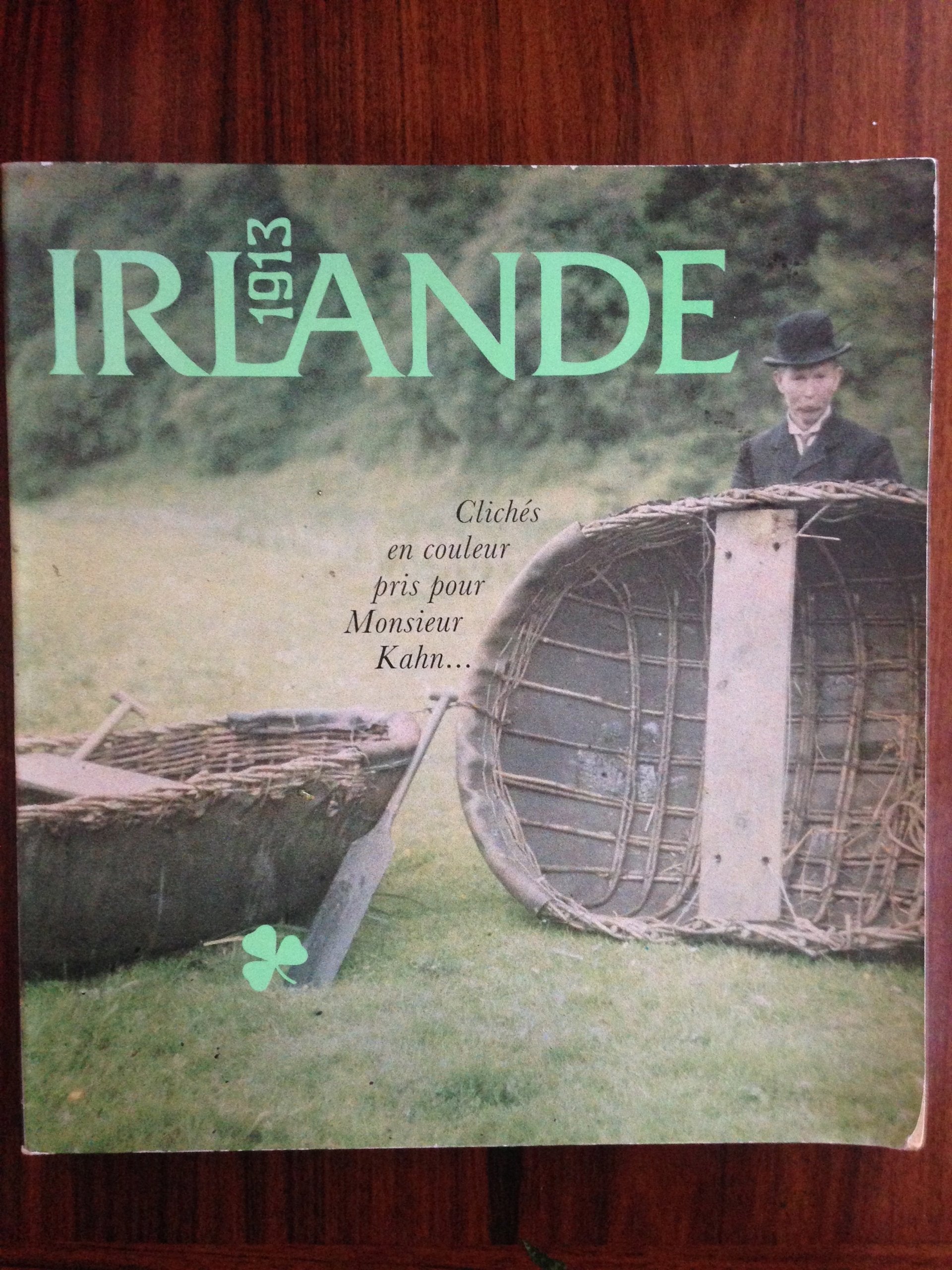 Irlande en 1913 book