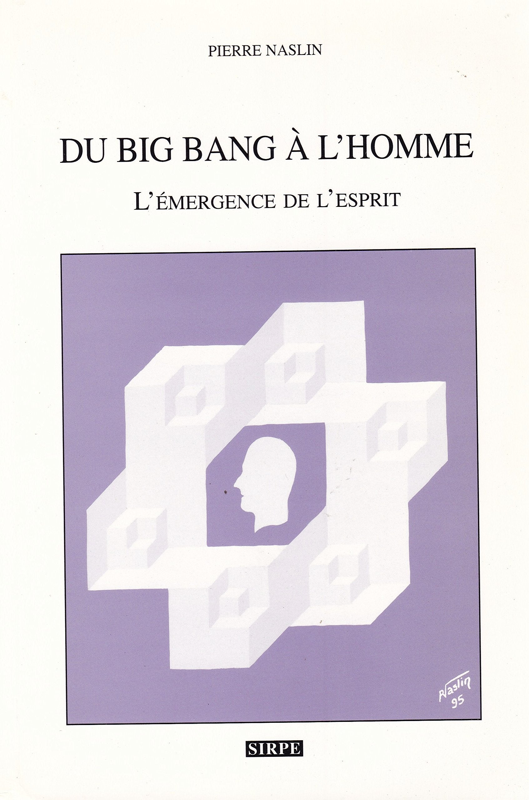 Du big bang à l'homme : L'émergence de l'esprit book