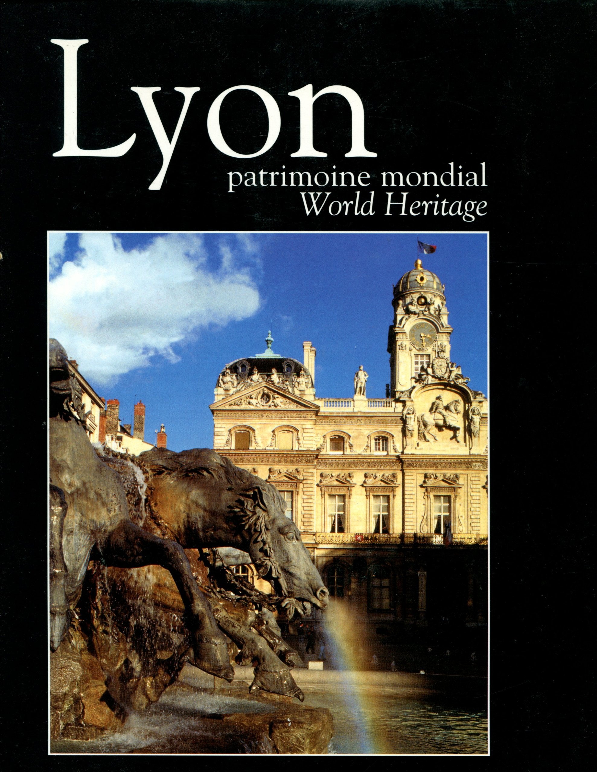 Lyon, Patrimoine mondial: World heritage Books