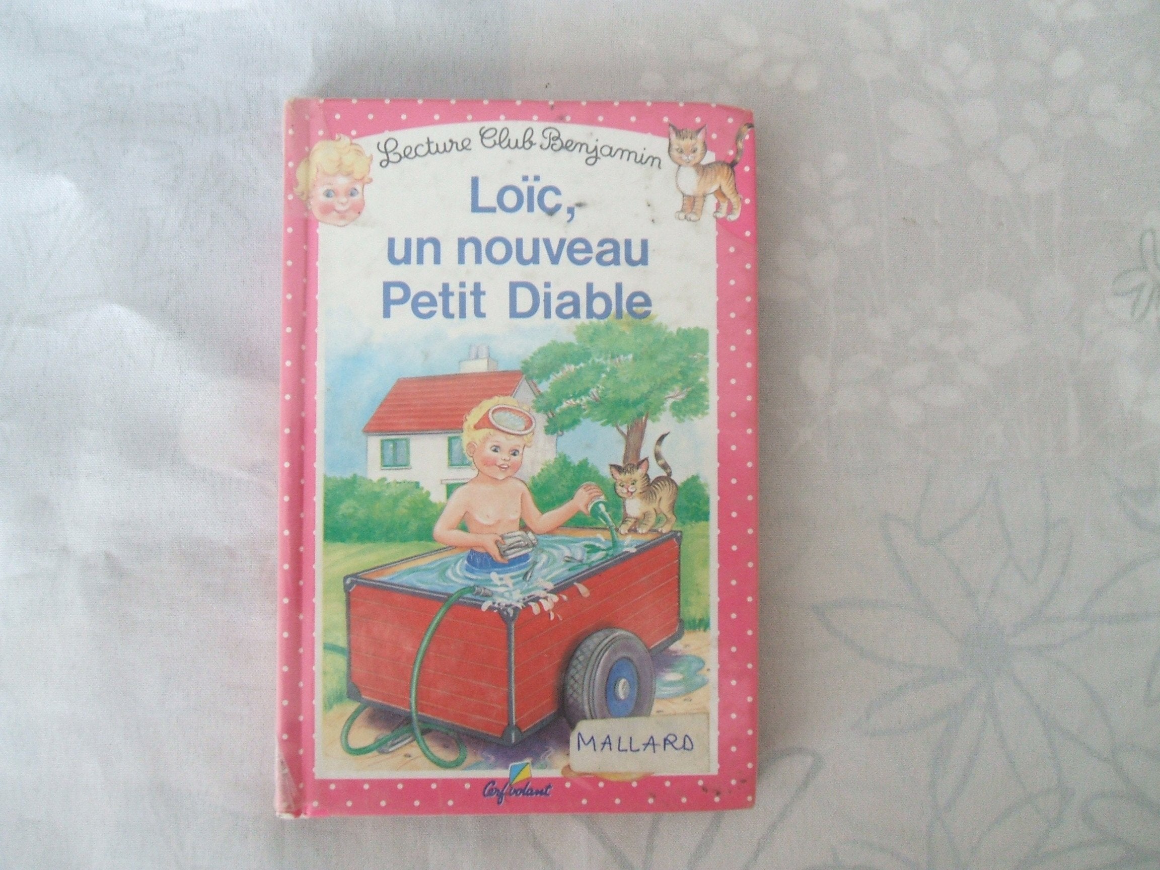 Loïc, un nouveau petit diable, tome 5 Books