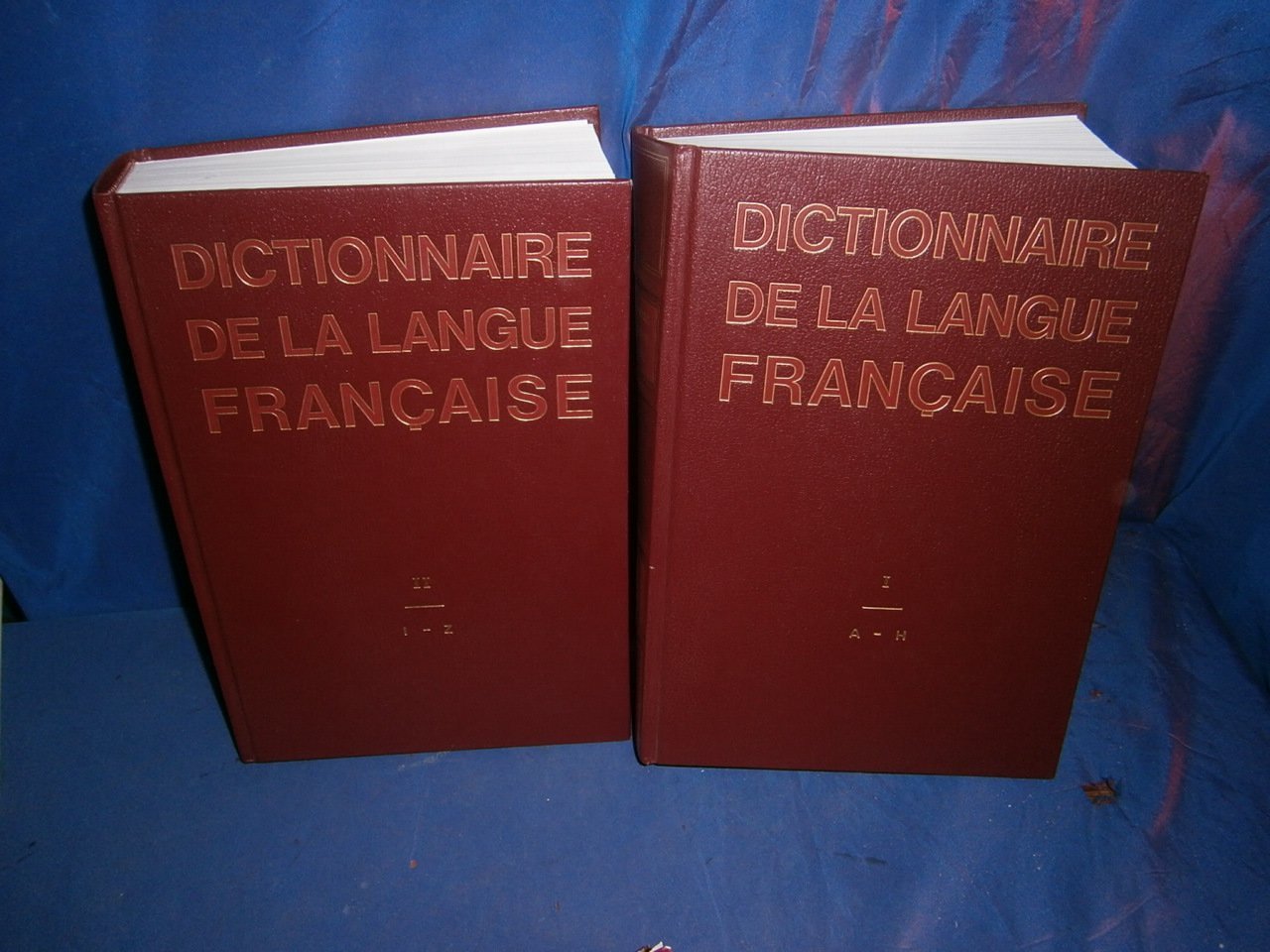 Dictionnaire de la langue française Books