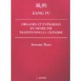 Zang fu, organes et entrailles en médecine chinoise Medicine