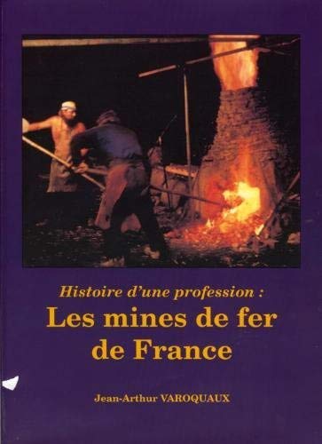 Les mines de fer de France : Histoire d'une profession Books