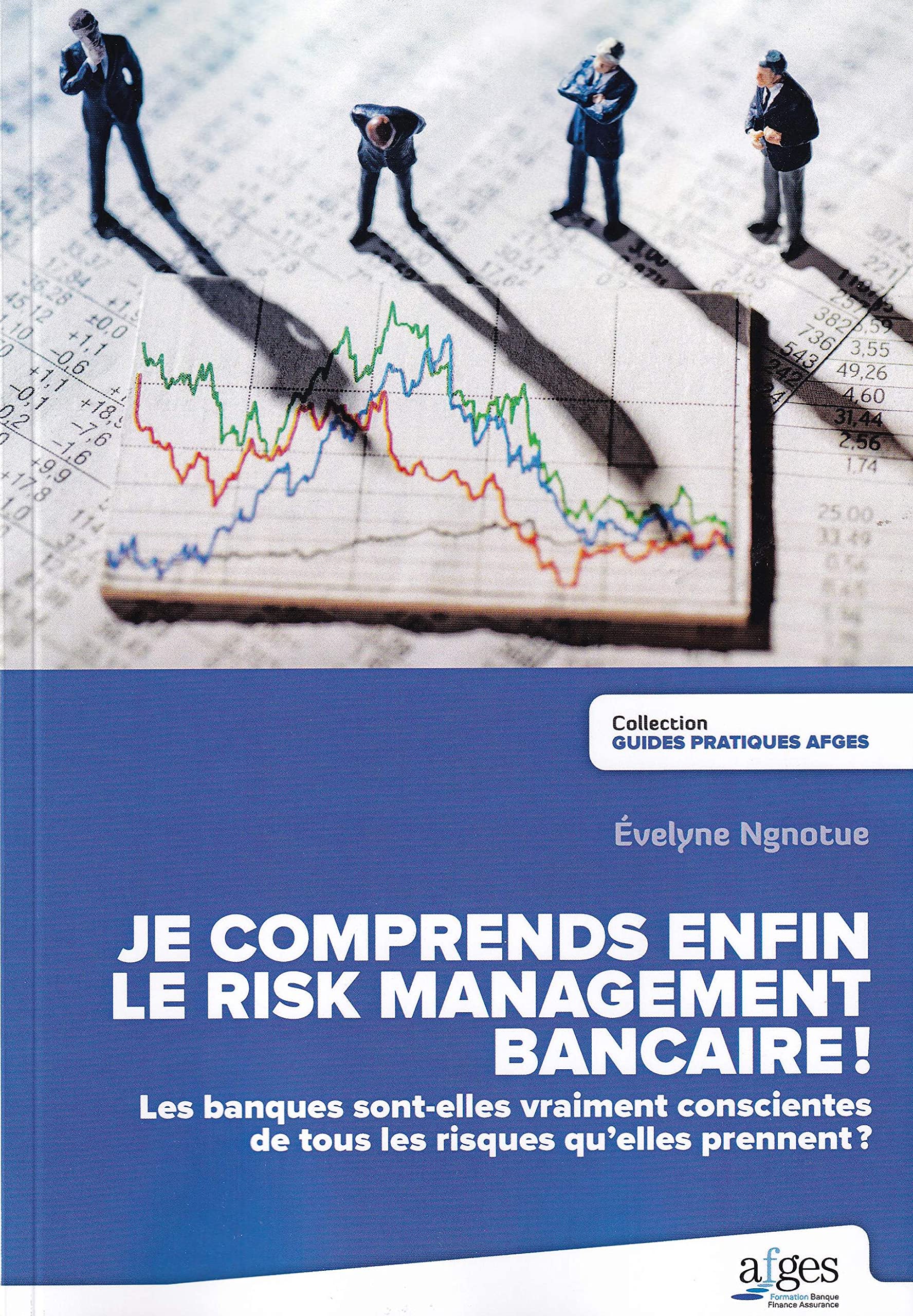 Je comprends enfin le risk management bancaire ! book