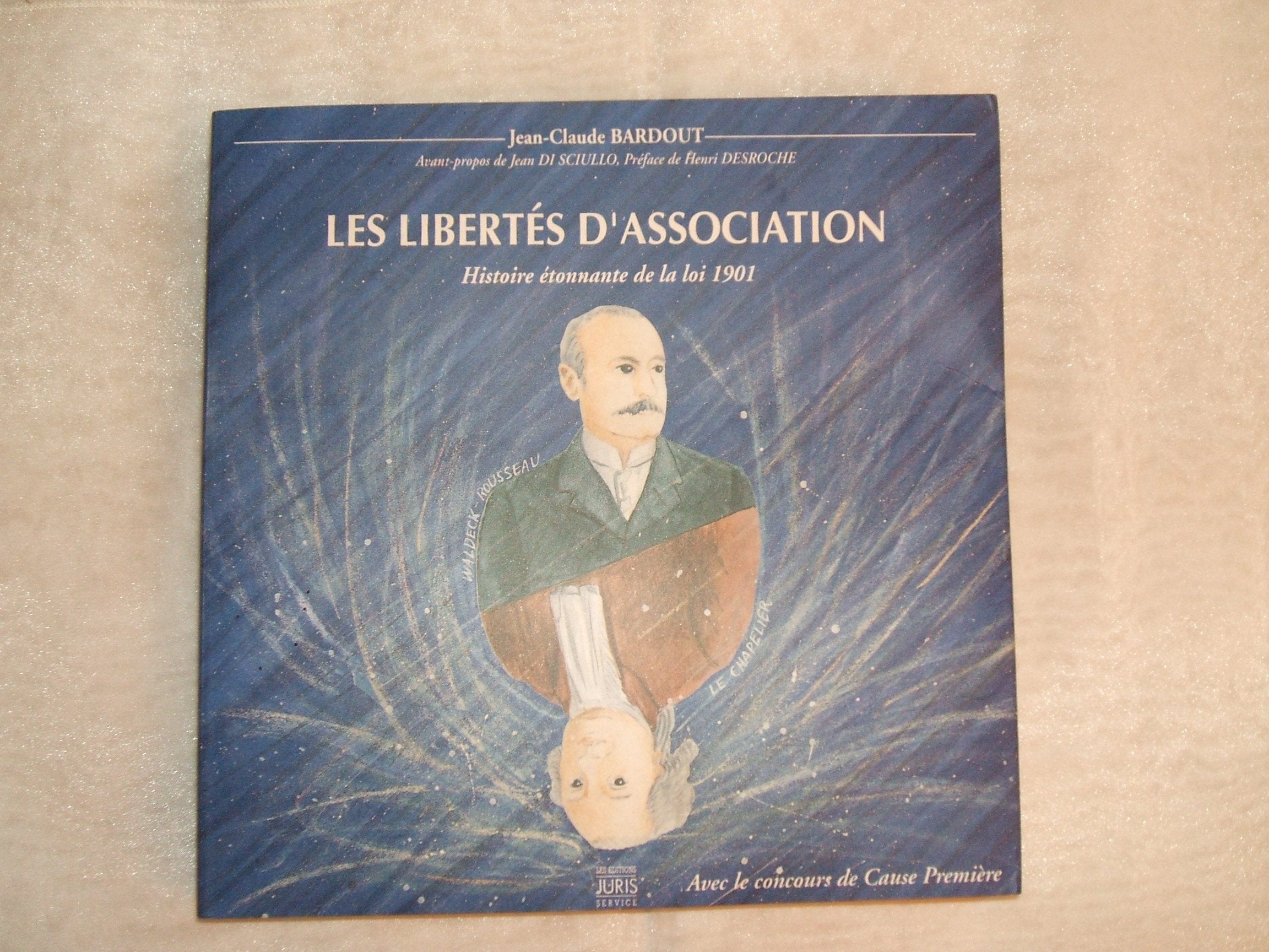 Les libertés d'associations. Histoire étonnante de la loi 1901 book