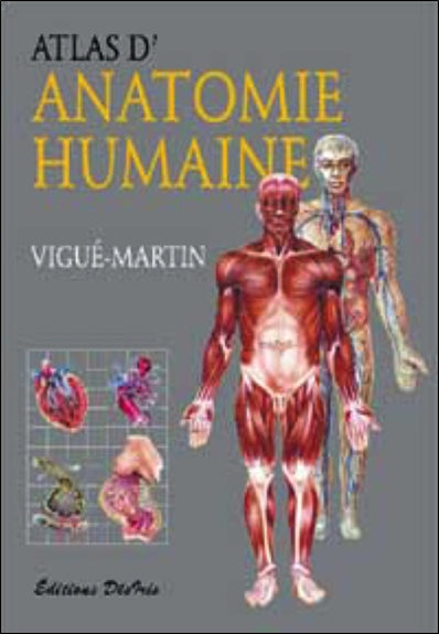 Atlas d'anatomie humaine Medicine