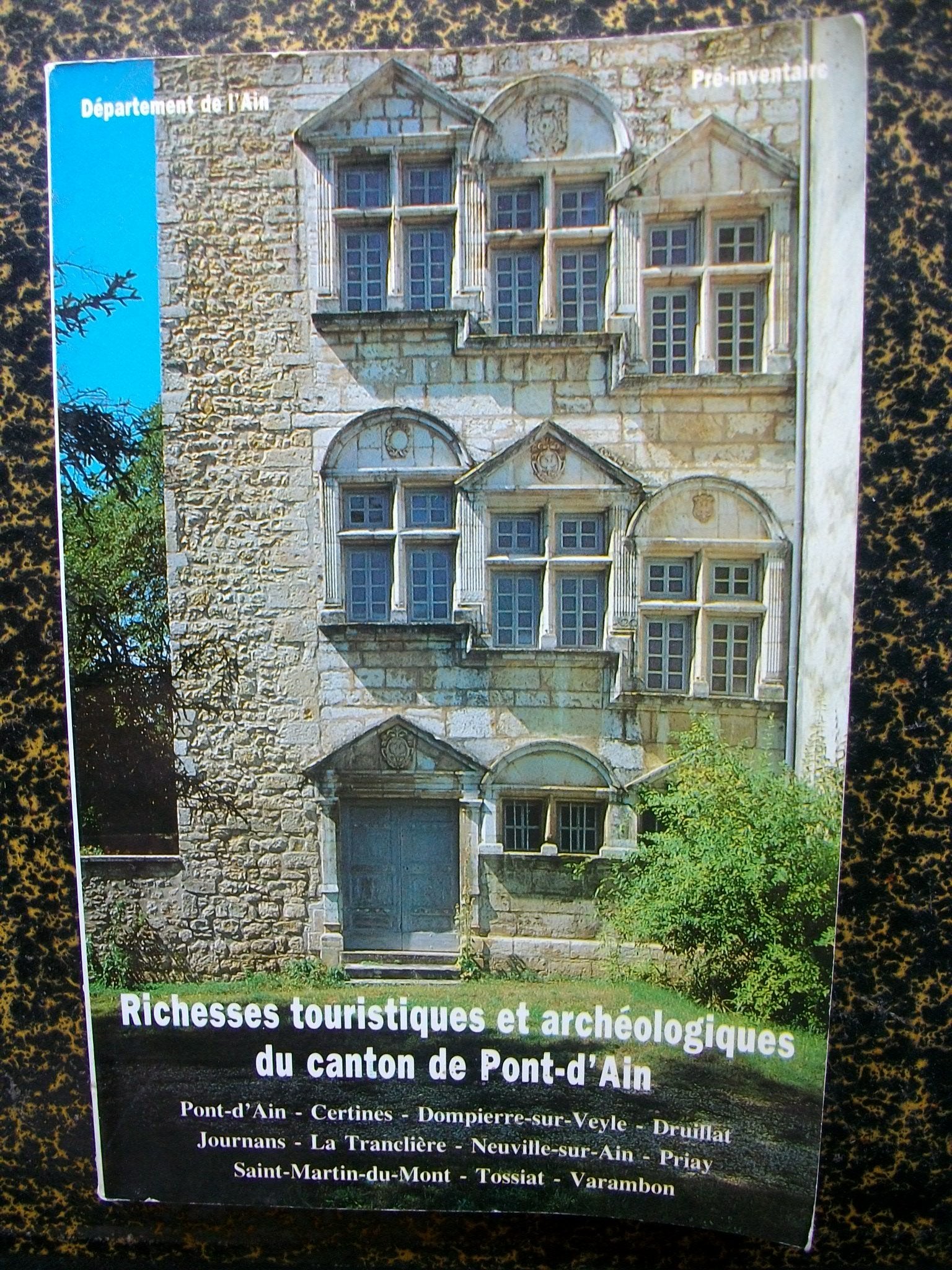 Déparement de l'ain - Richesses touristiques et archéologiques du canton de pont d'ain book
