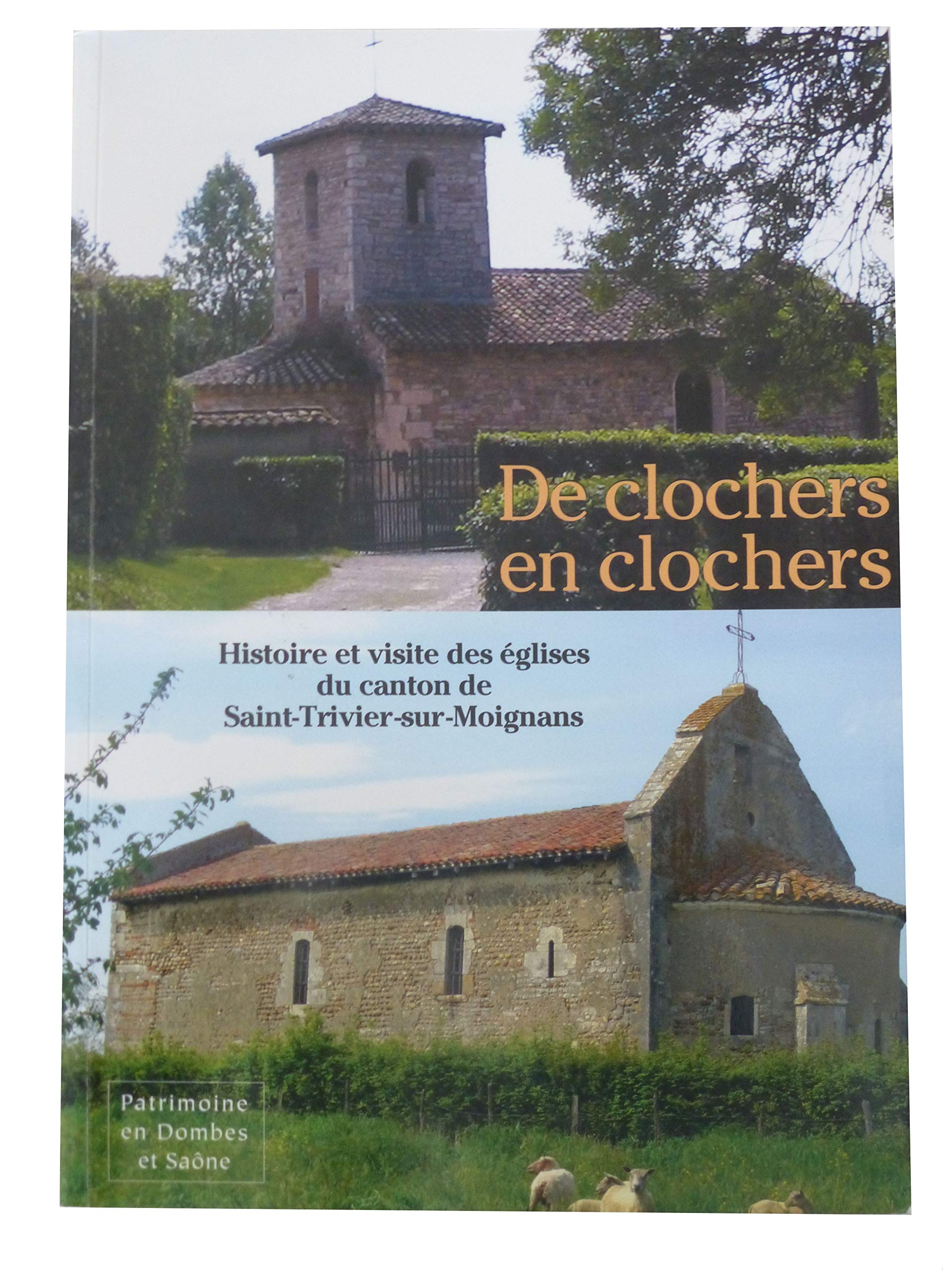 De clochers en clochers : Histoire et visite des églises du canton de Saint-Trivier-sur-Moignans book