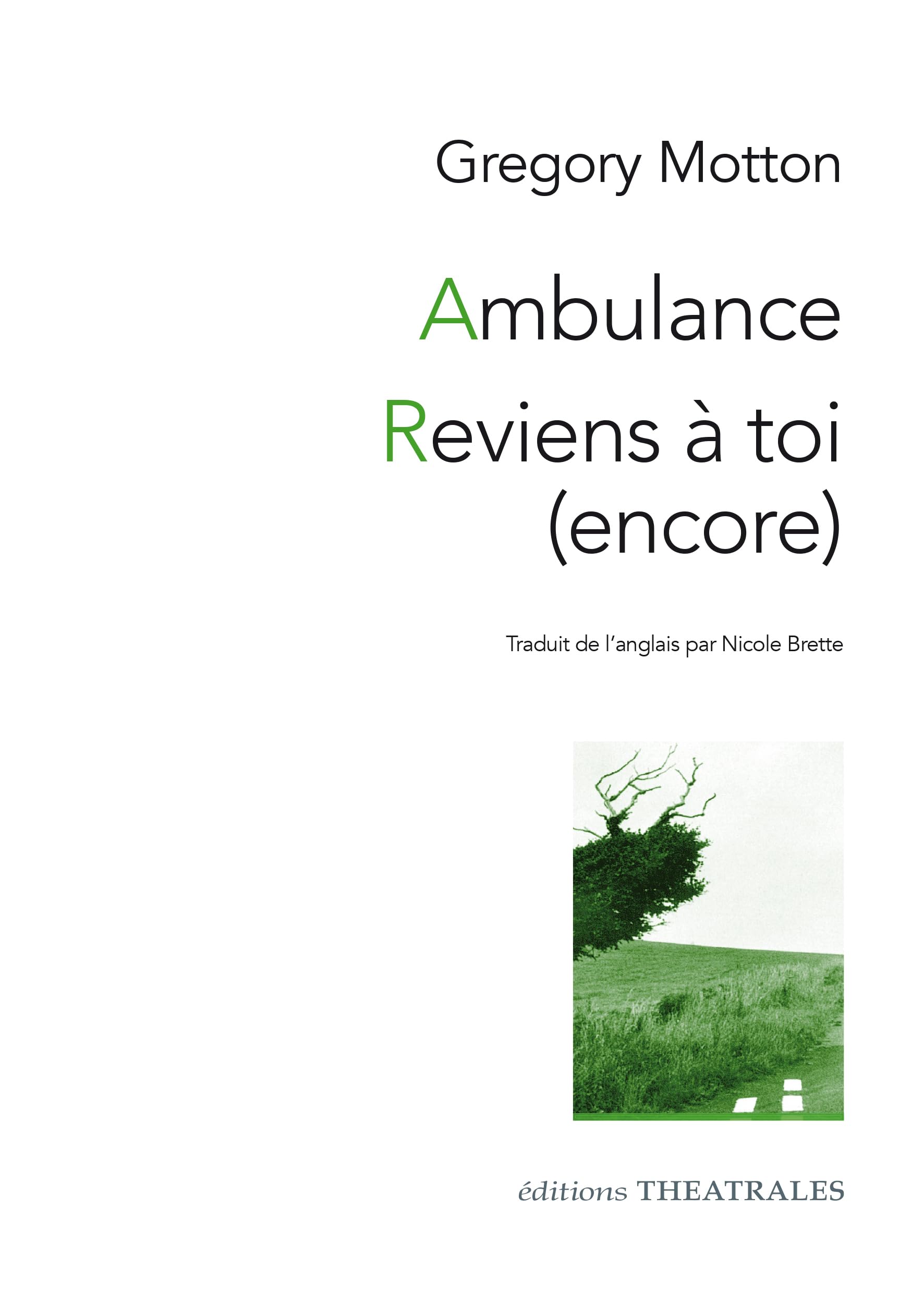 Ambulance. Reviens à toi (encore). Looking at you (revived) again book
