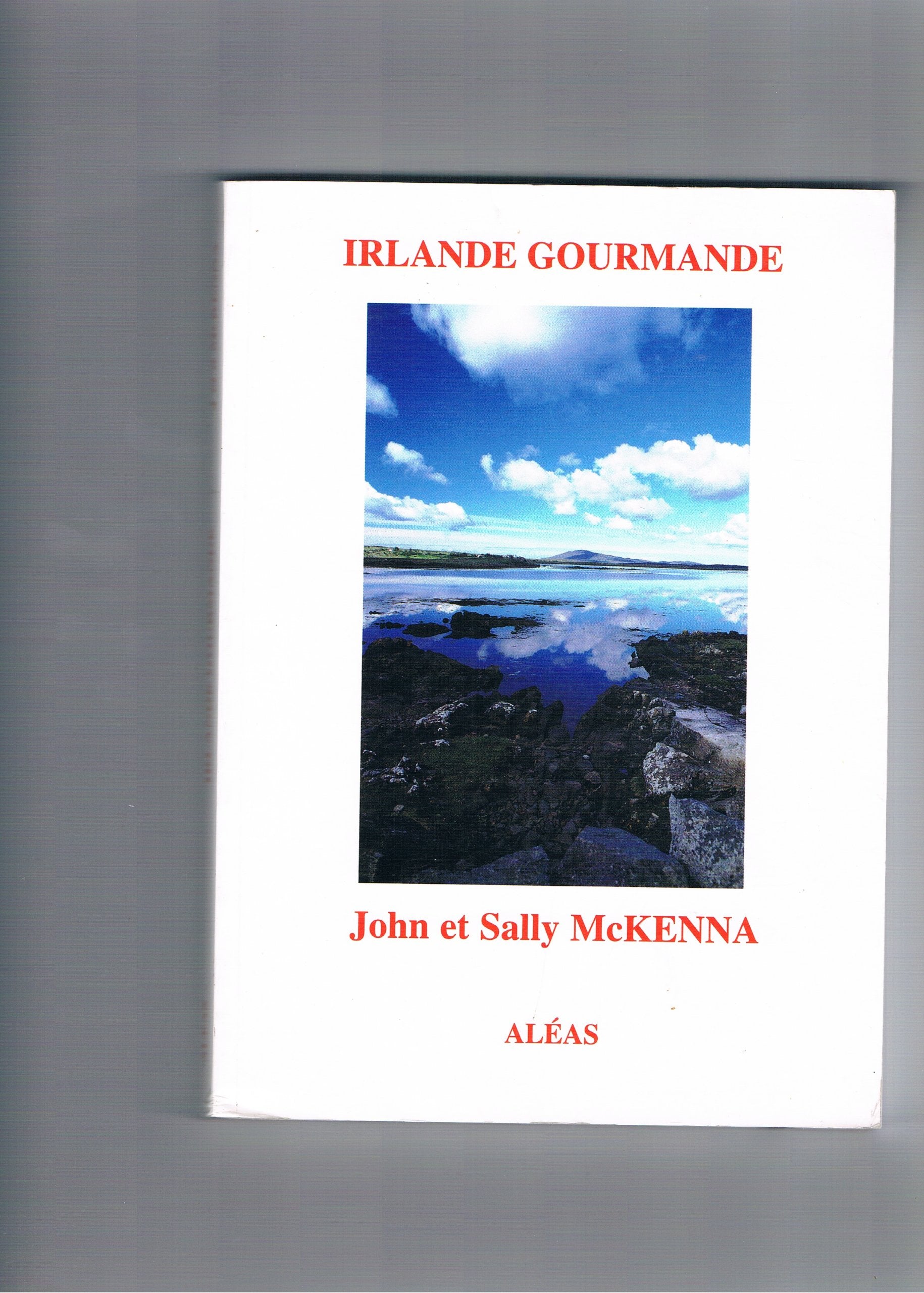 Irlande : les 100 meilleurs endroits pour manger et dormir book