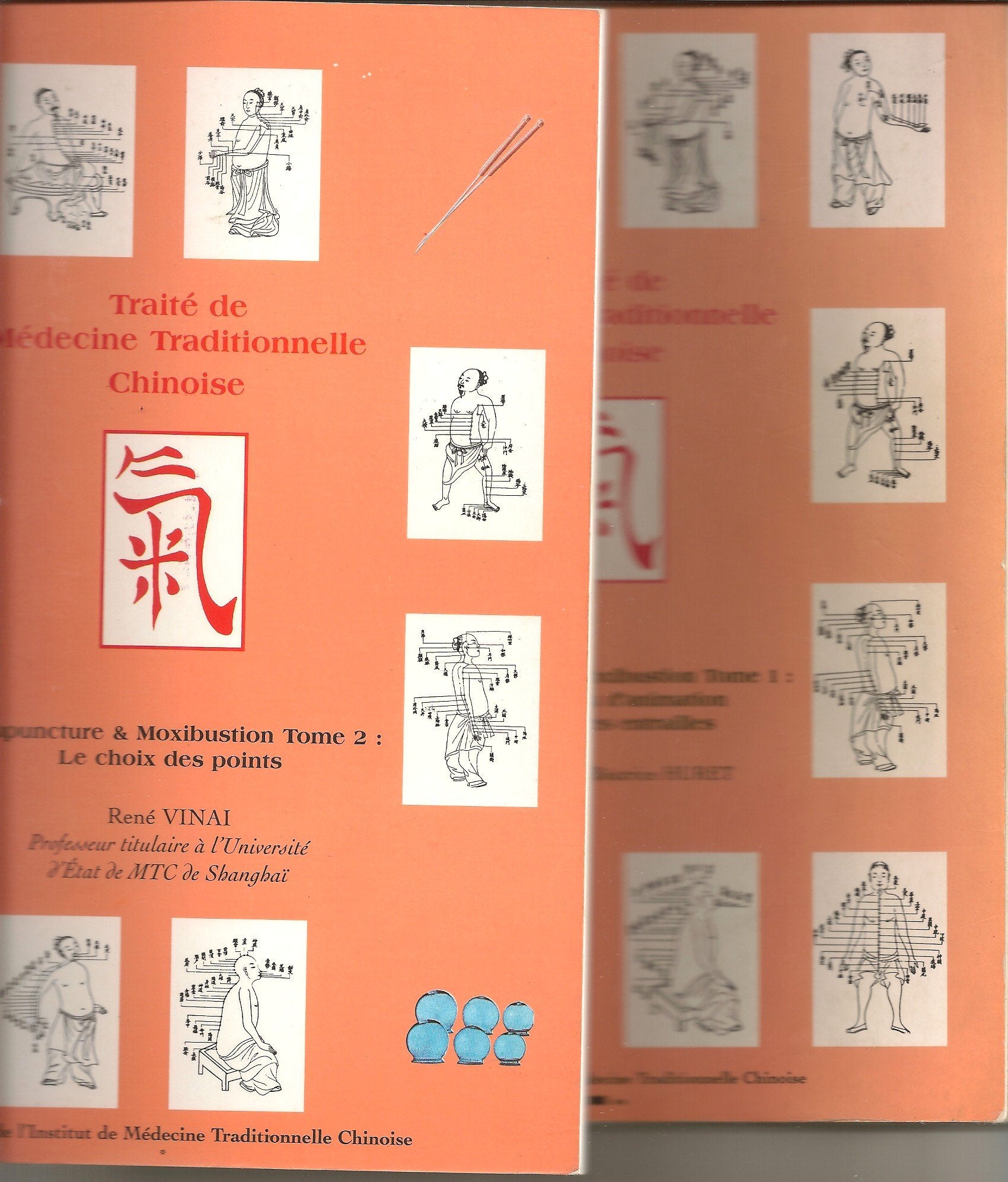 TRAITE DE MEDECINE TRADITIONNELLE CHINOISE/MEDECINE Books