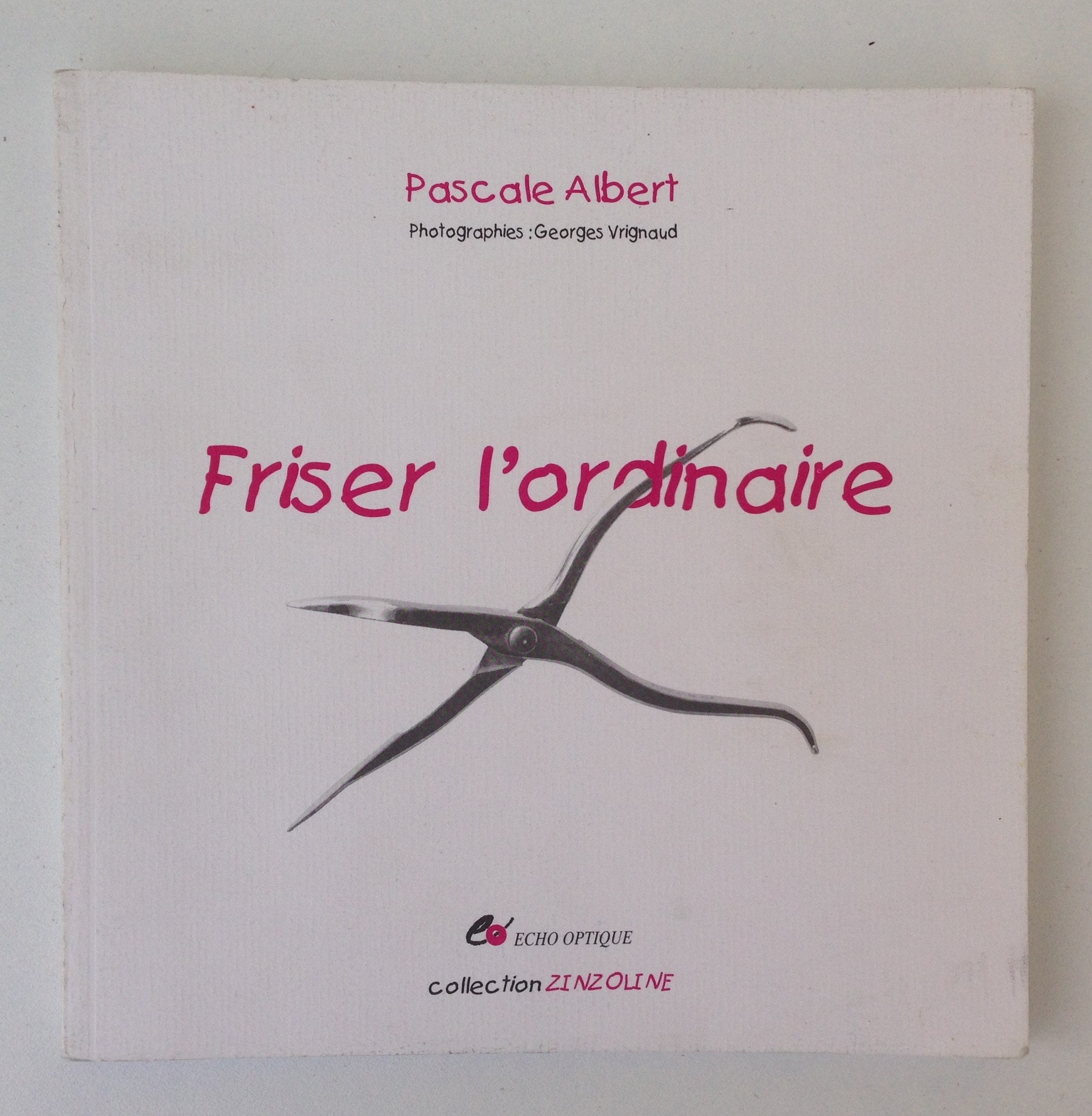 FRISER L'ORDINAIRE. Books