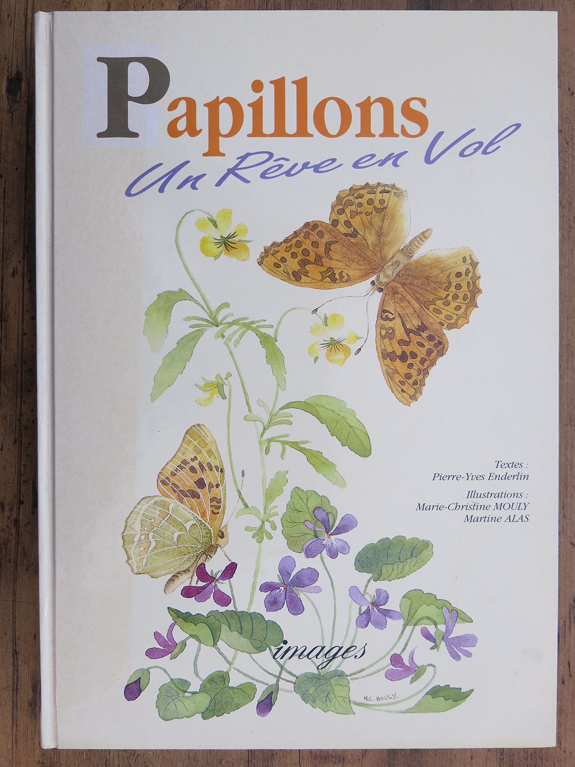 Papillons Un Reve En Vol book
