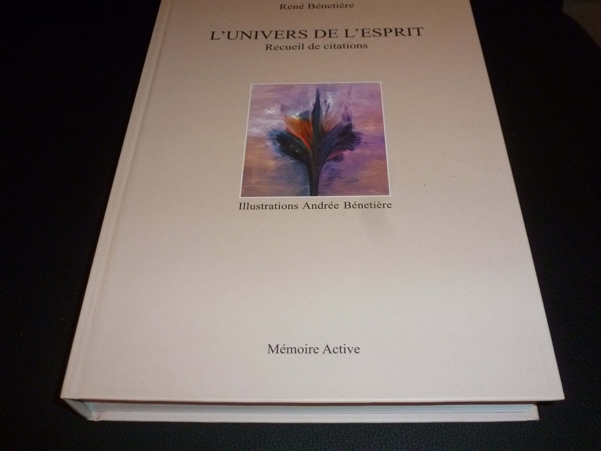 l'univers de l'esprit (recueil de citations) - René Bénetière Books