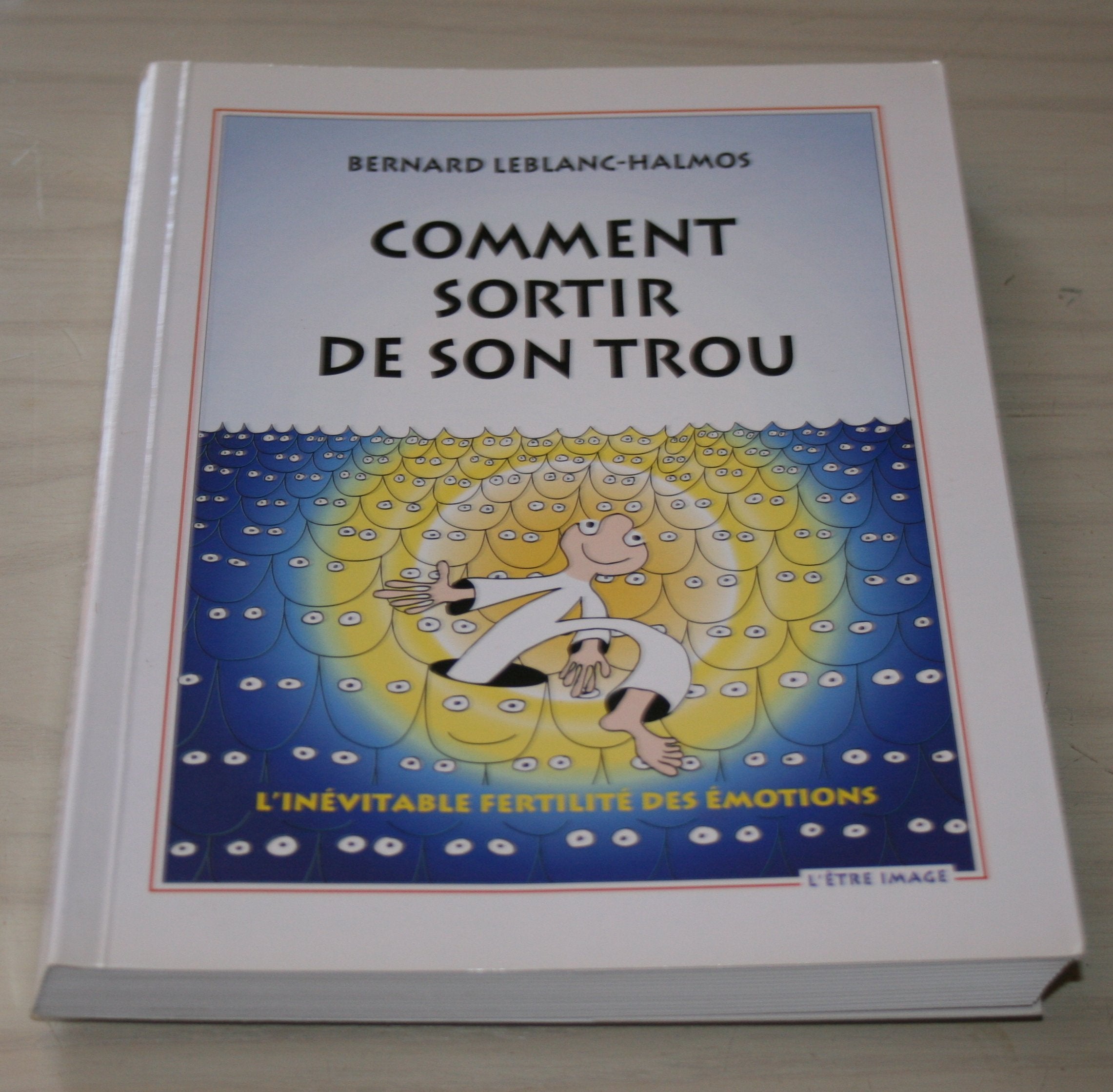 Comment sortir de son trou : L'inévitable fertilité des émotions - 3ème édition Books