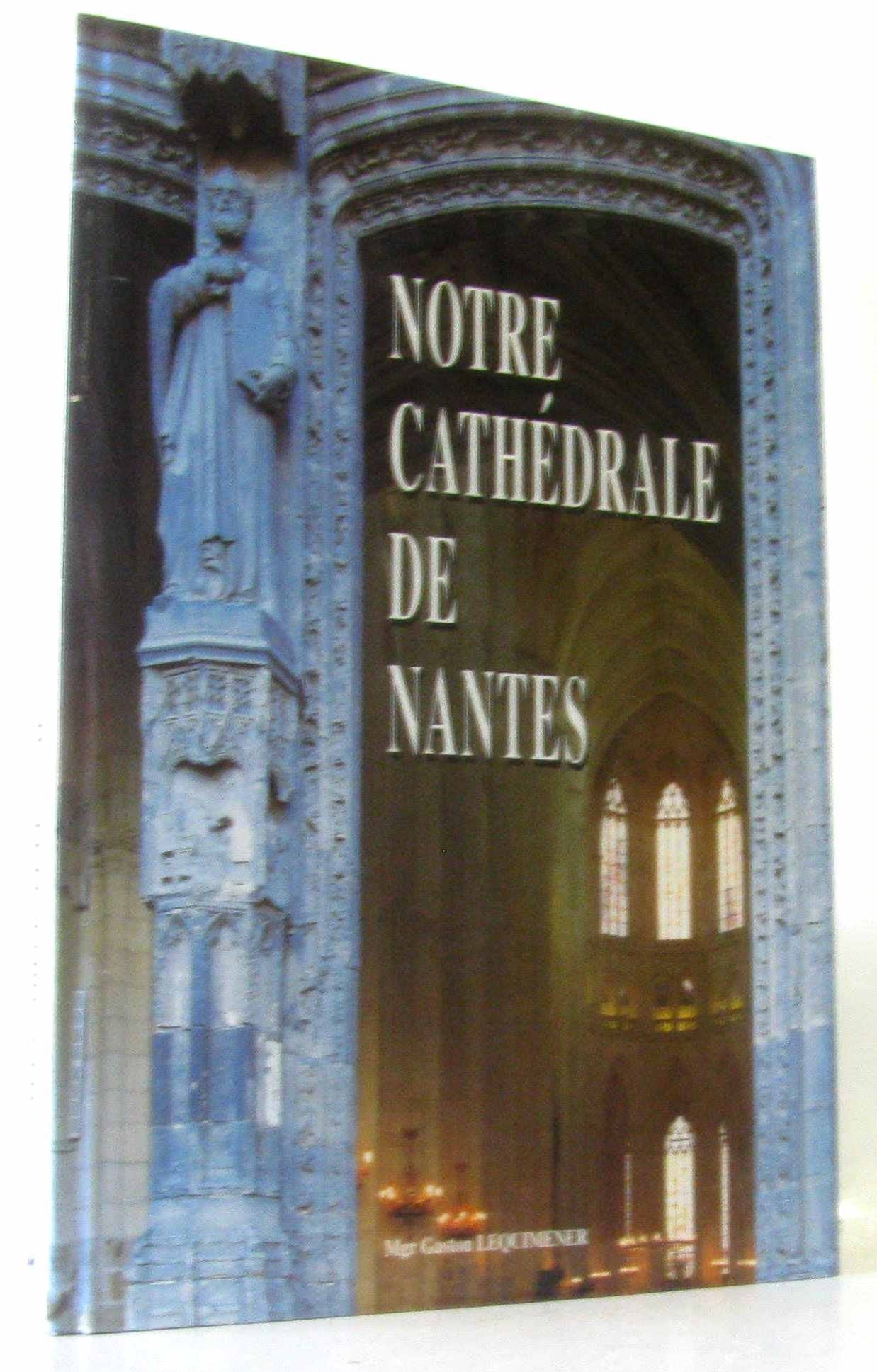 Notre cathédrale de Nantes: Une recherche du sens à travers l'histoire et l'art Books