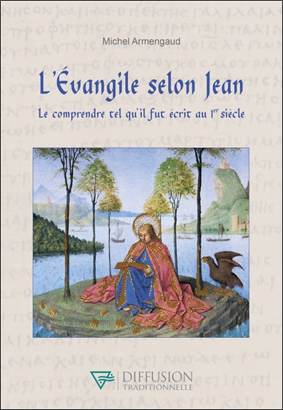 L'Evangile selon Jean : le comprendre tel qu'il fut écrit au 1er siècle Religion & Esotericism