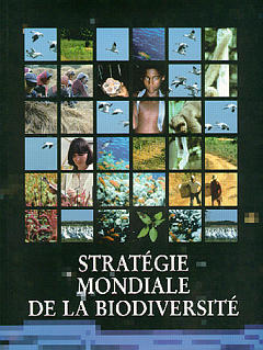 Stratégie mondiale de la biodiversité : propositions pour la sauvegarde, l'étude, et l'utilisation durable et équitable des ressources biotiques de la planète Books