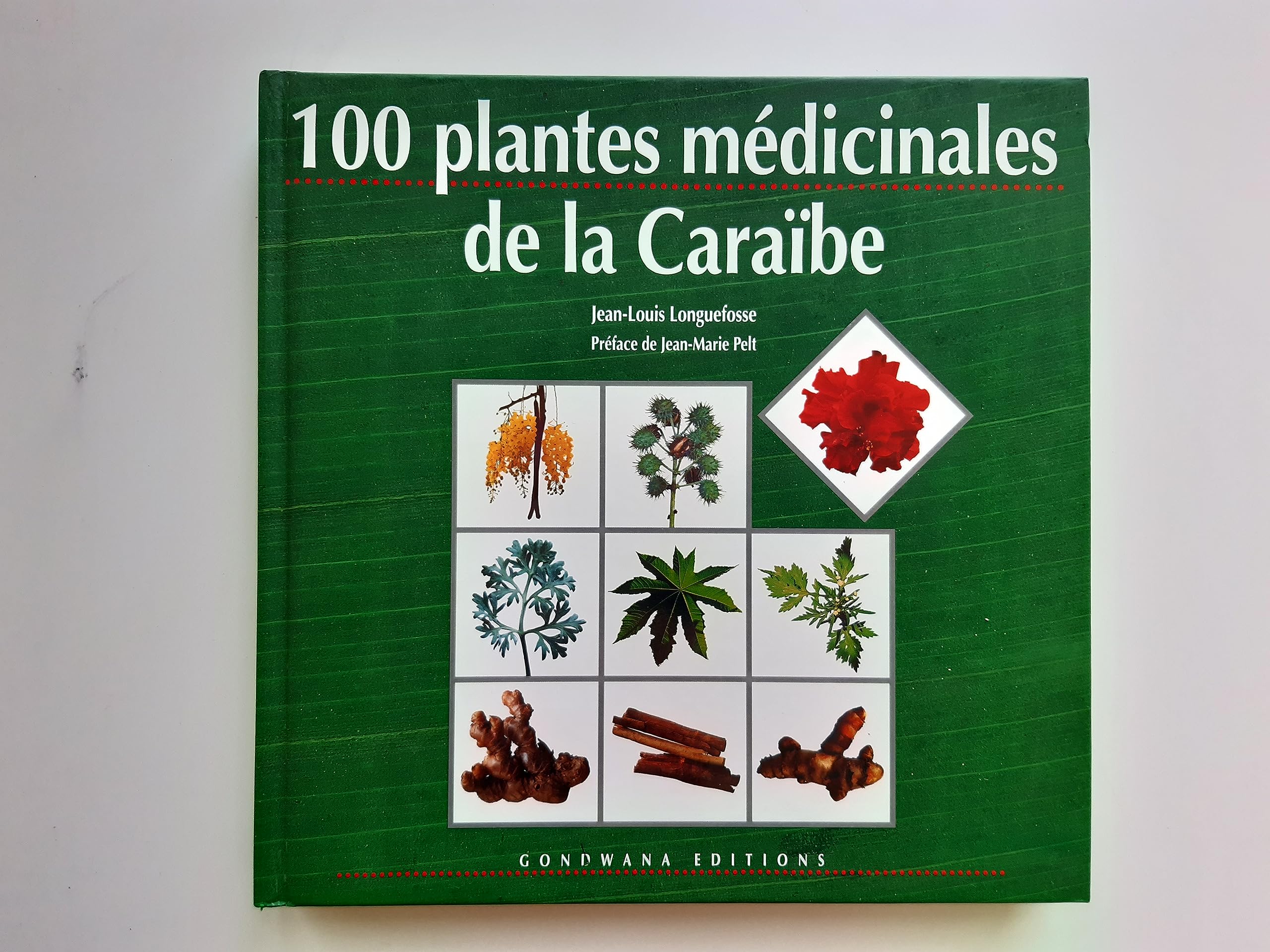 100 Plantes Medicinales De La Caraibe Books