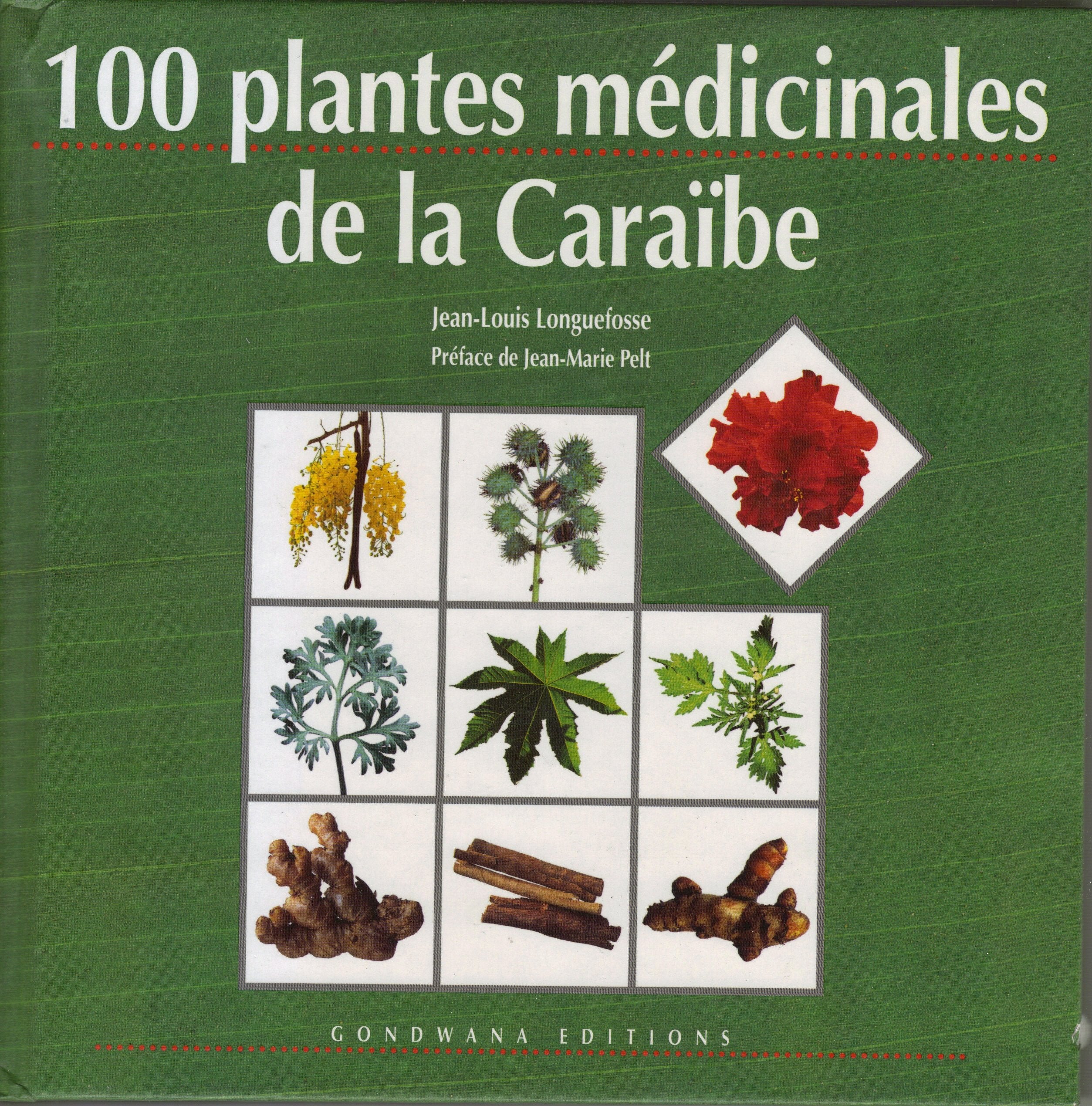 100 plates M‚dicinales de la caraibe Jean Louis Longuefosse Books