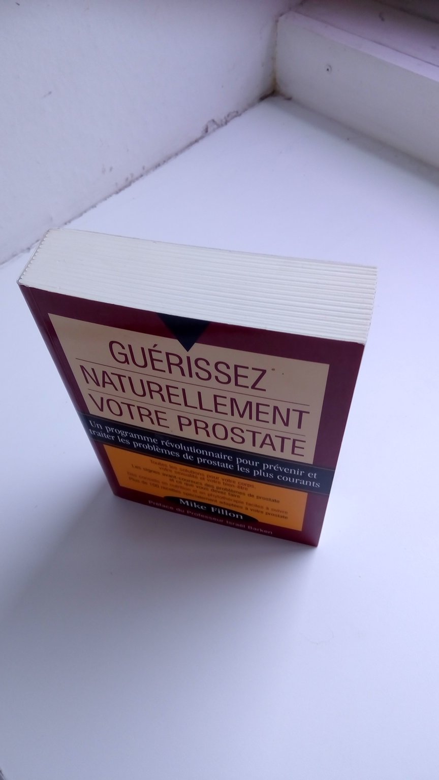 Guérissez naturellement votre prostate : Un programme révolutionnaire pour prévenir et traiter les problèmes de prostate les plus courants Books