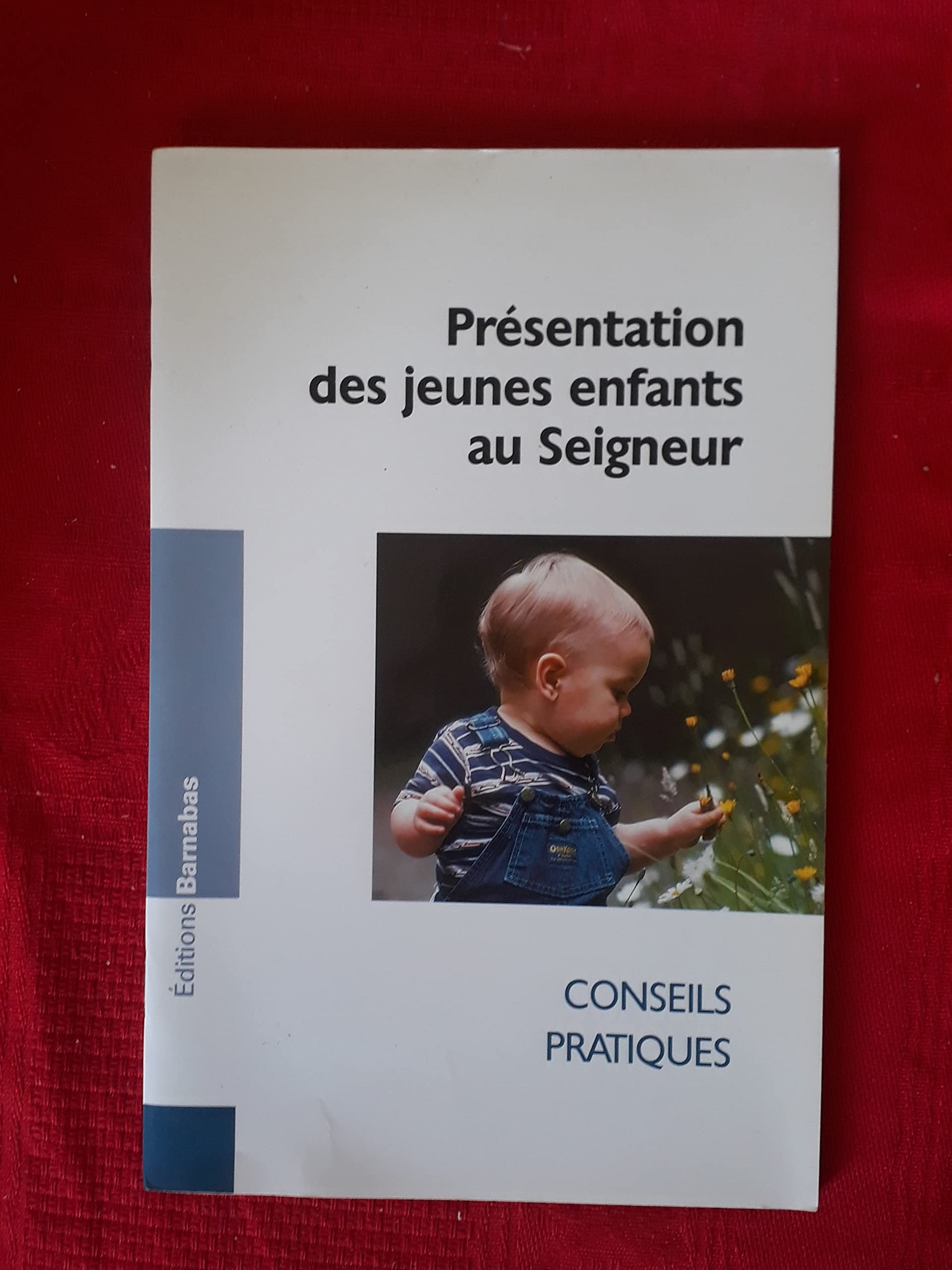 Présentation des jeunes enfants au Seigneur : Conseils pratiques (Série pastorale) book