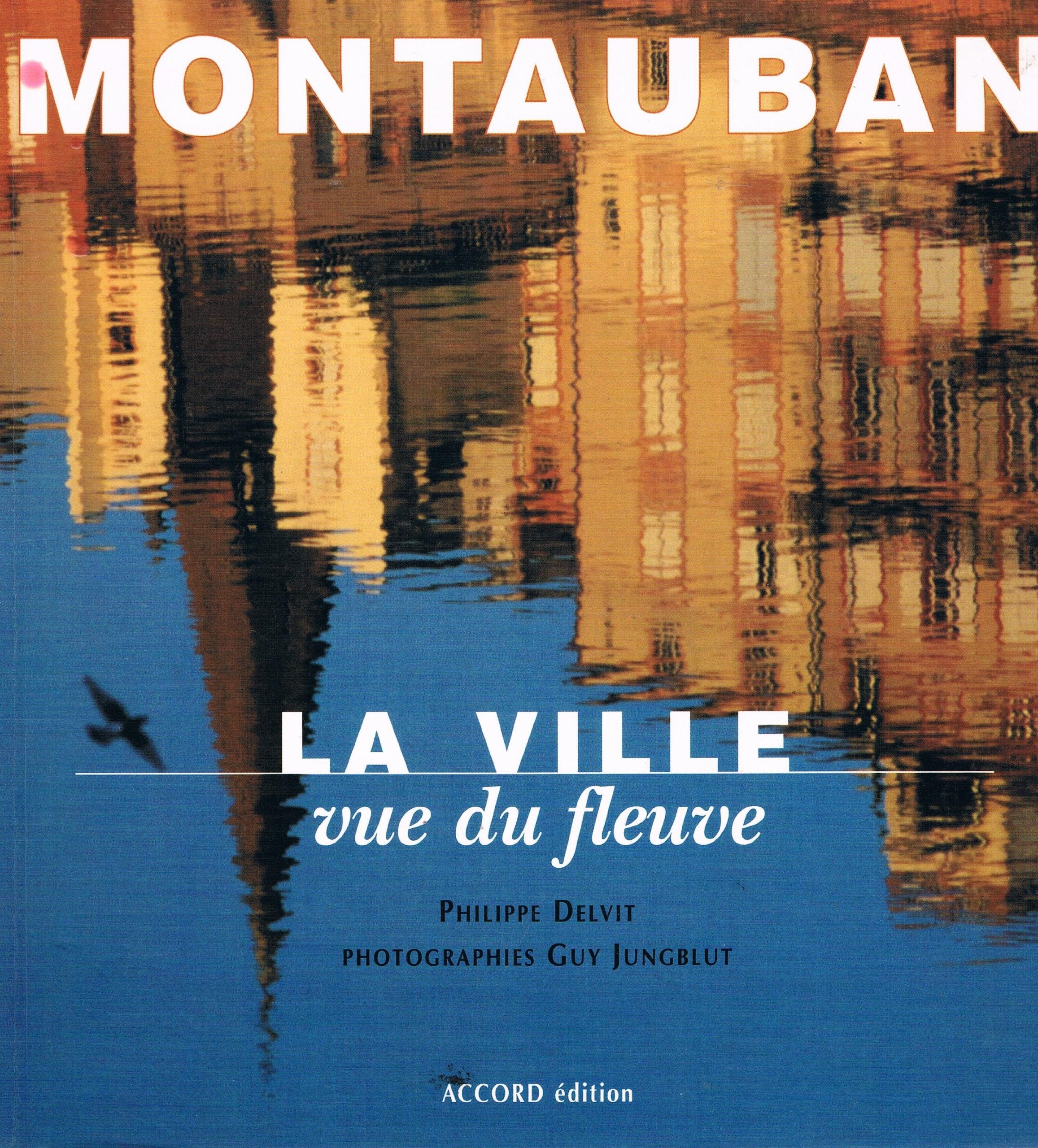 Montauban, la ville vue du fleuve Books