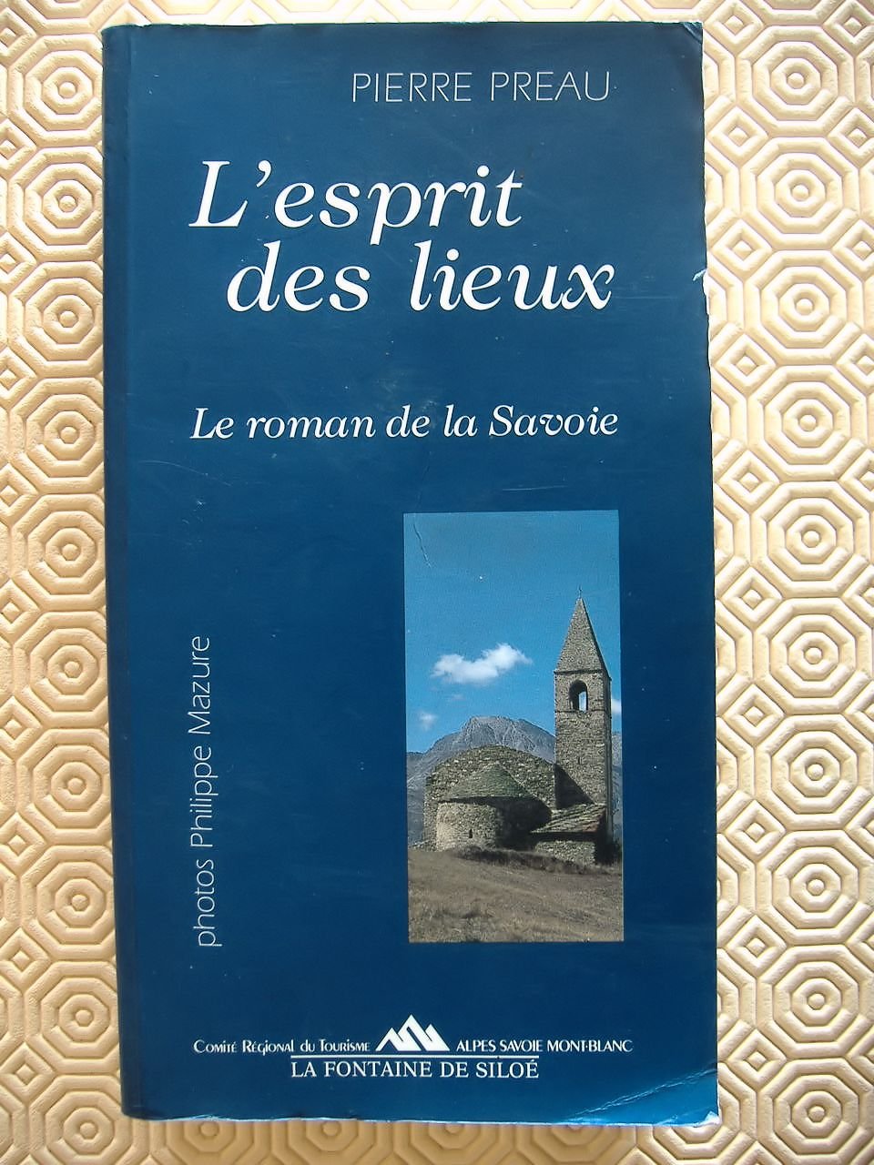 L'esprit des lieux: Le roman de la Savoie book
