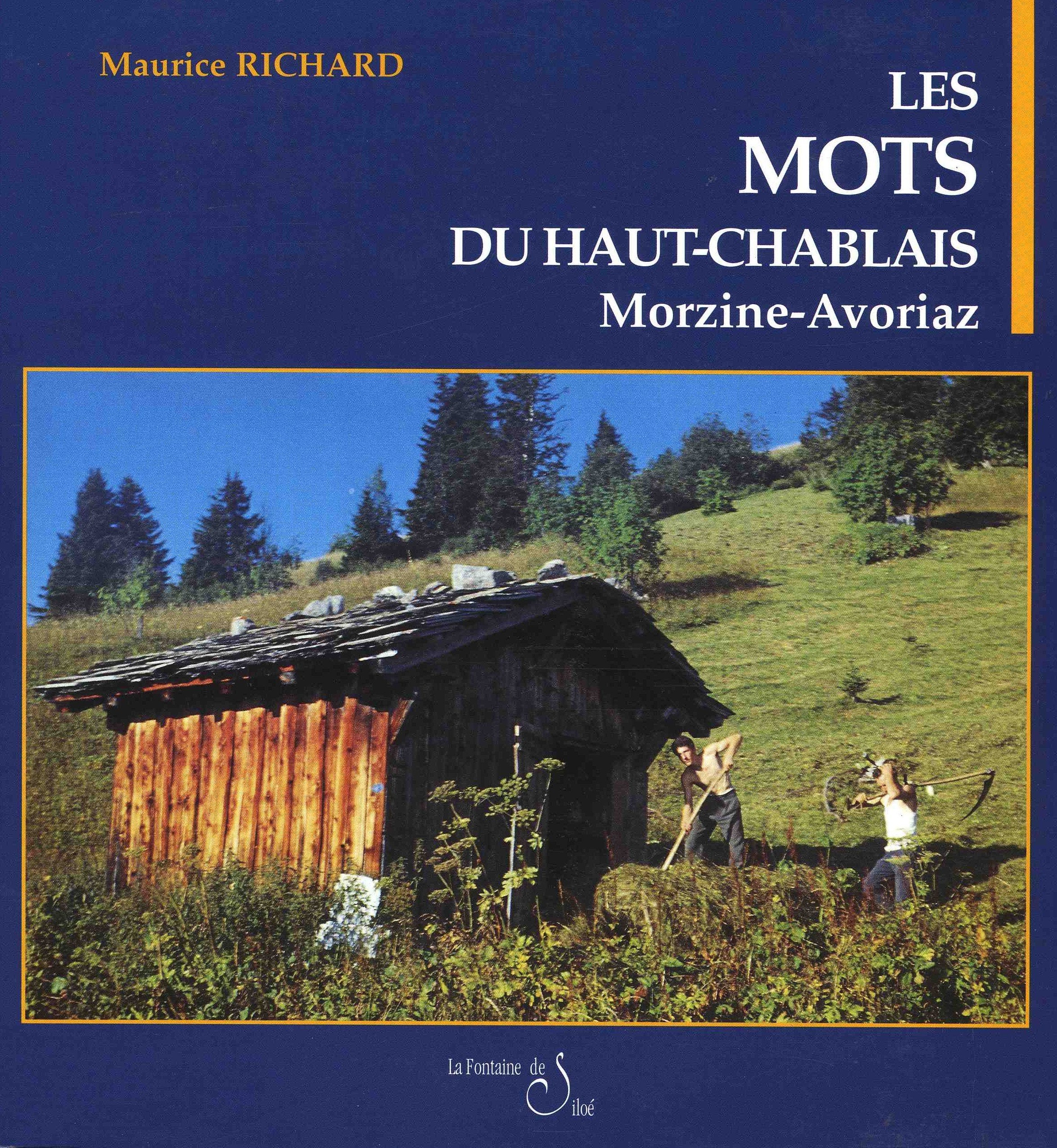 Les mots du Haut-Chablais: Morzine Avoriaz book