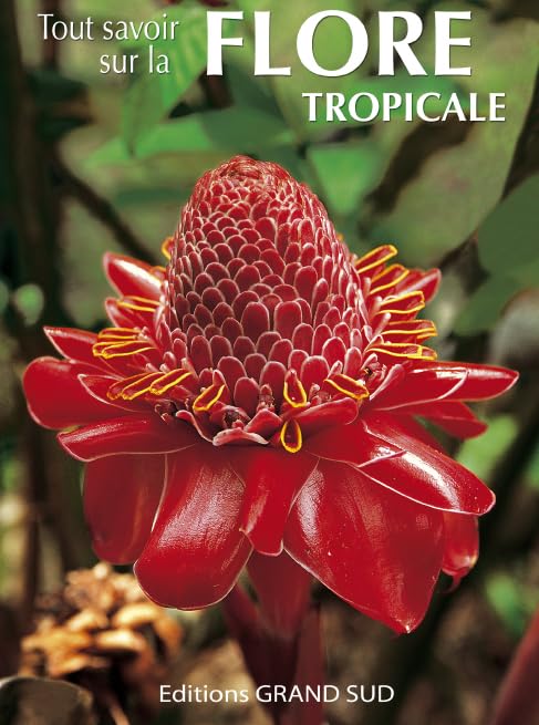 Tout savoir sur la FLORE TROPICALE Leisure, Home & Garden
