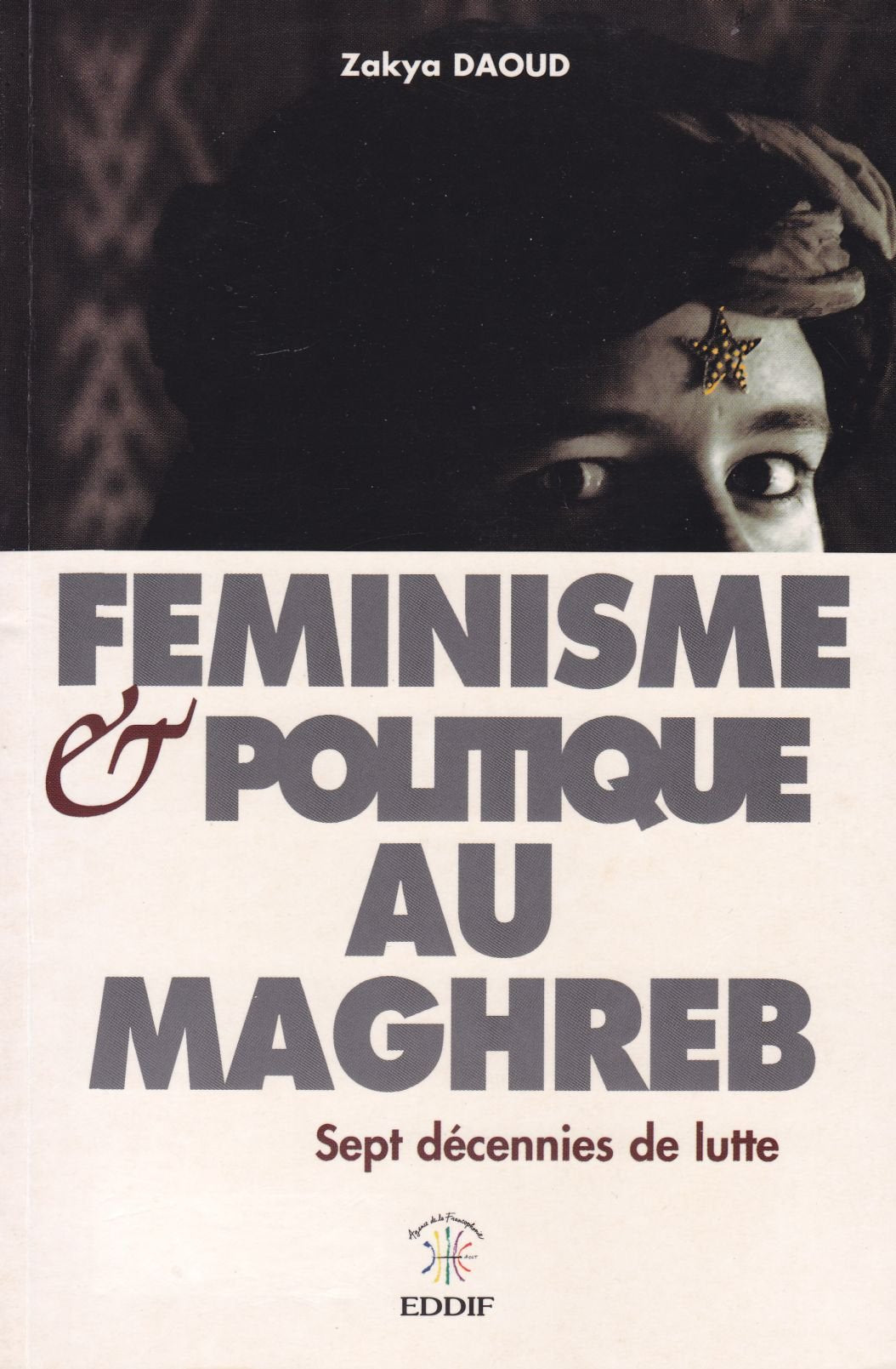 Feminisme et Politique au Maghreb. Sept décennies de lutte book