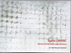 Agathe Larpent: chemins d'écumes dans la vapeur des choses book