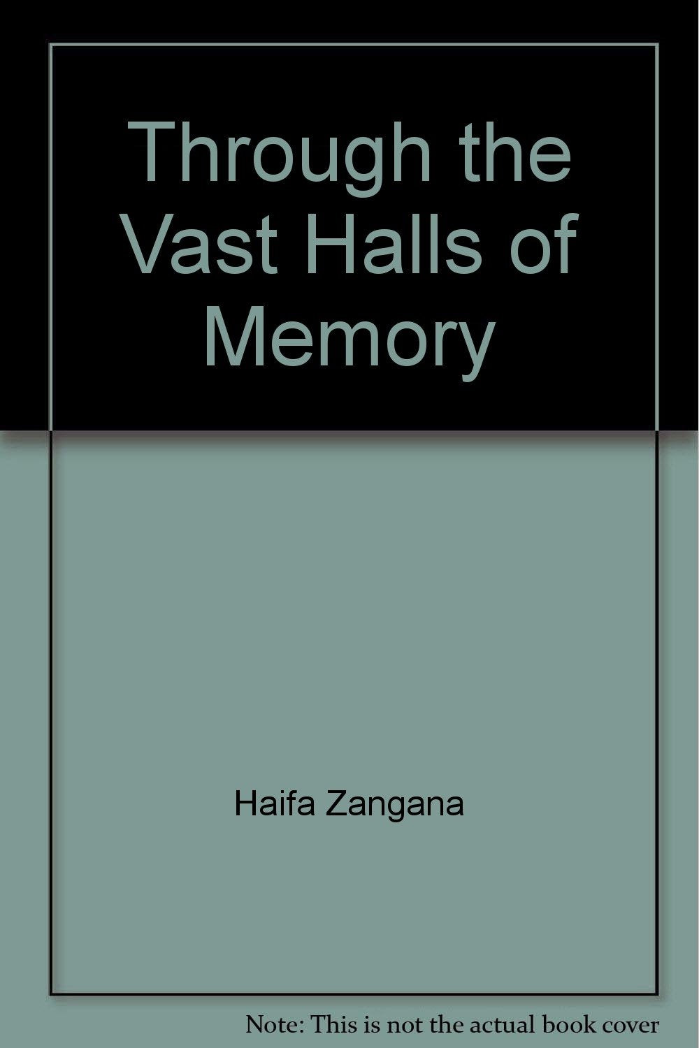 Through the Vast Halls of Memory book