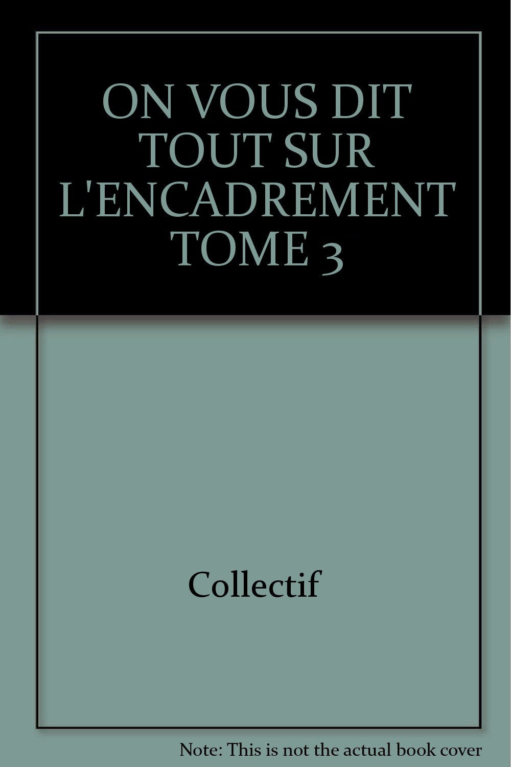 On vous dit tout sur l'encadrement. Vol. 3. Les passe-partout book