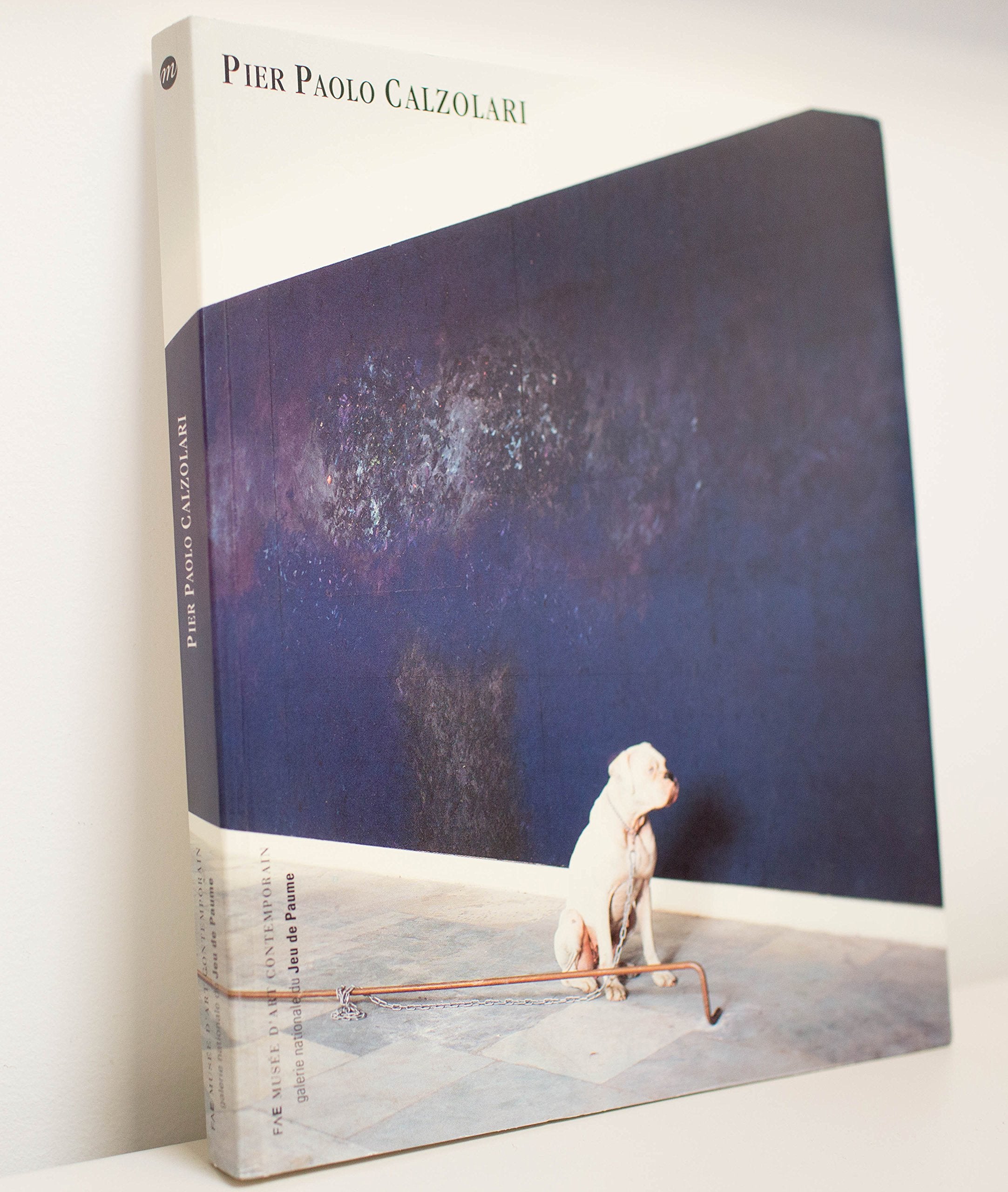 Pier Paolo Calzolari : exposition, Galerie du Musée du Jeu de paume, Paris, 31 mars-29 mai 1994 ; Castello di Rivoli, Museo d'arte contemporanea, Turin, 22 sept.-20 nov. 1994 ; FAE Musée d'art contemporain, Pully-Lausanne, 16 déc. 1994-2 avr. 1995 Books