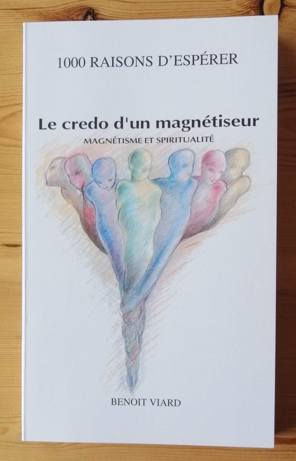 Le credo d'un magnétiseur. Magnétisme et spiritualité book