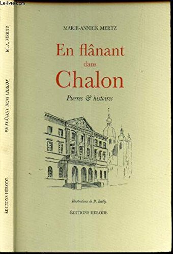 En flânant dans Chalon : Pierres & histoires book