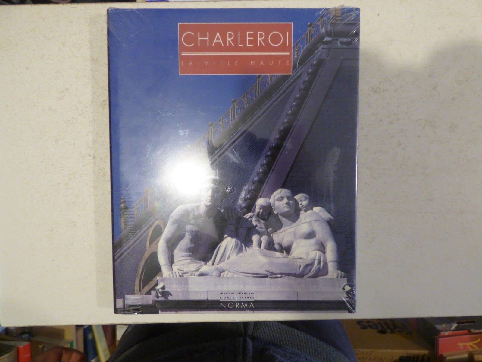 Charleroi : la ville haute book