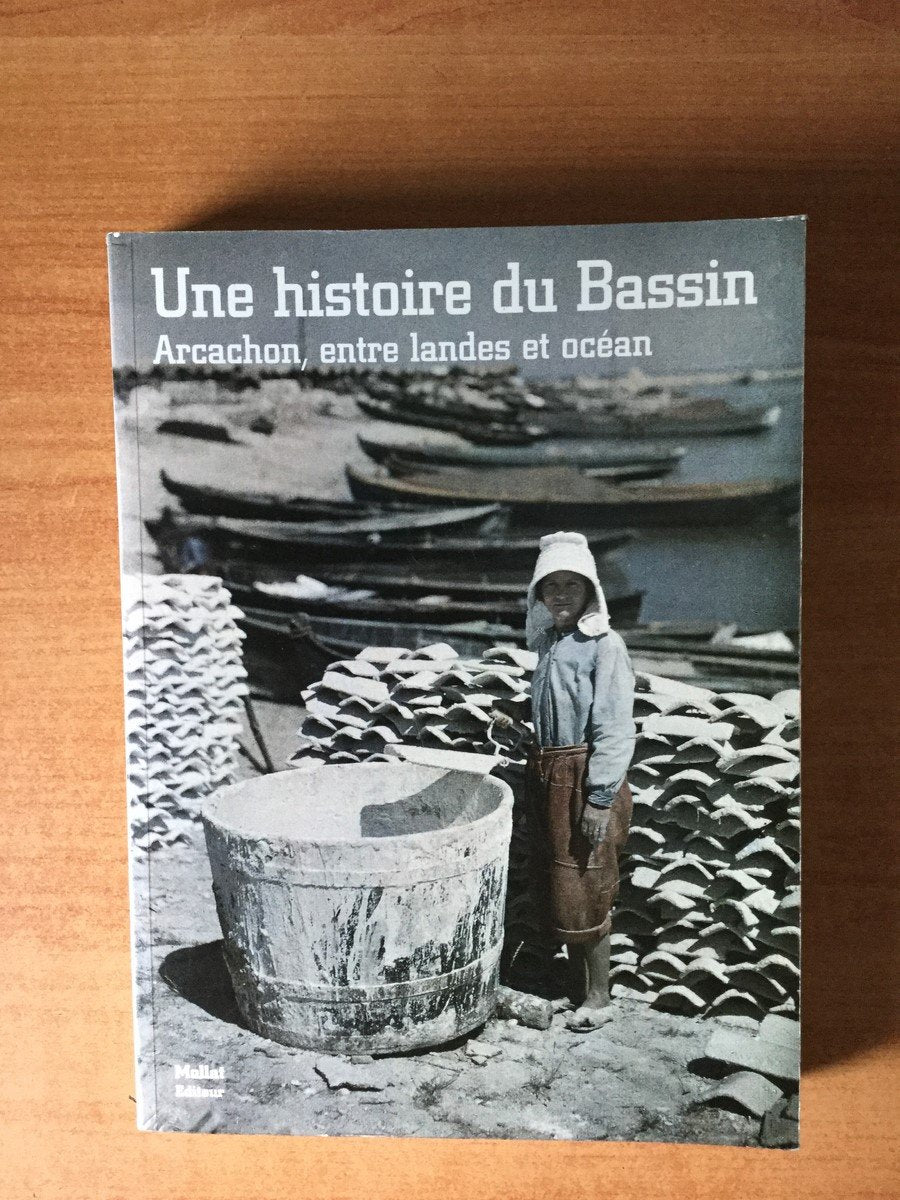 Une histoire du Bassin: Arcachon, entre Landes et océan Books