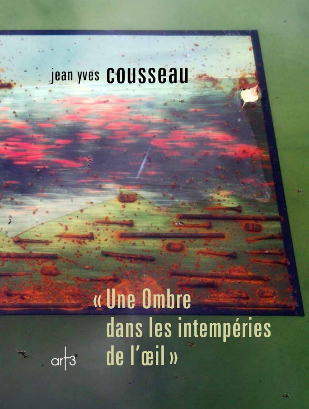 Une ombre dans les intempéries de l'oeil Film, Art & Culture