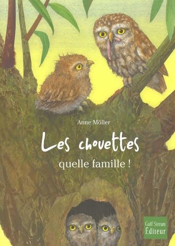 Chouettes, Quelle Famille!(les) Novels & Short Stories