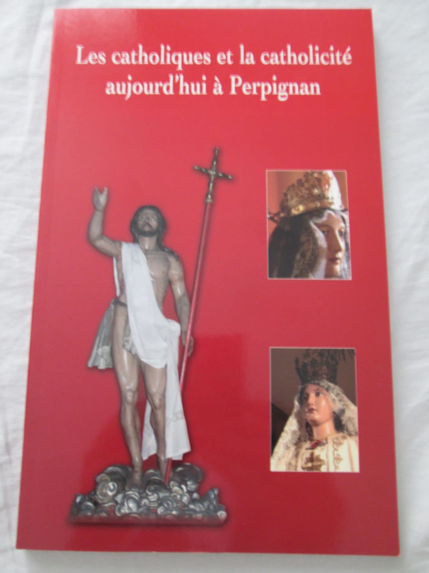 Les catholiques et la catholicité aujourd'hui à Perpignan book