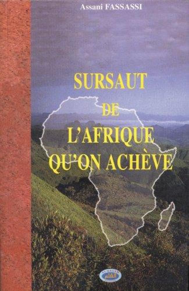 Sursaut de l'Afrique qu'on achève Politics & History