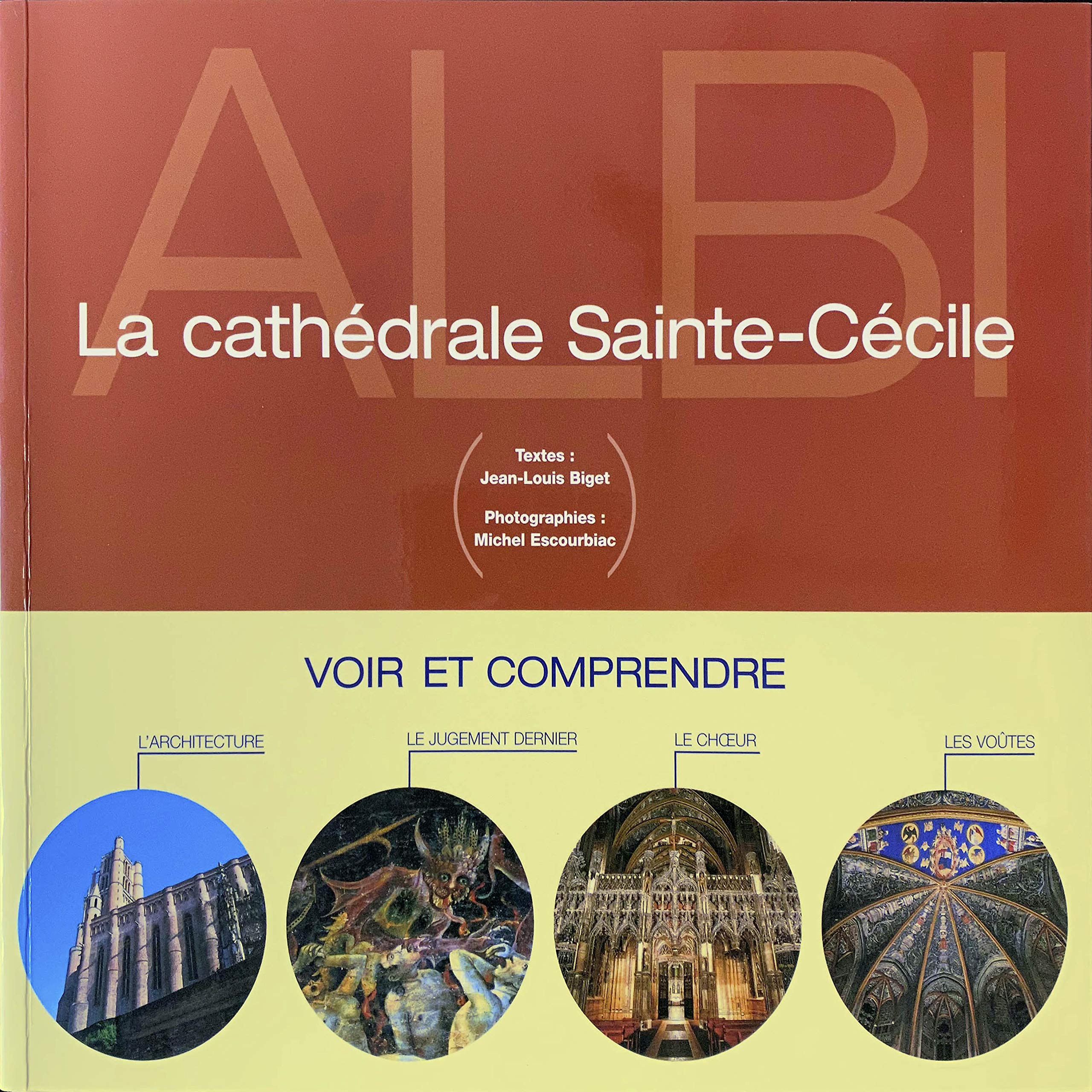 Voir Et Comprendre La Cathedrale Sainte-Cecile book