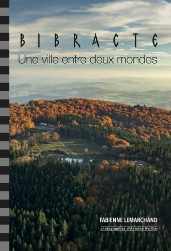 Bibracte, une ville entre deux mondes Books
