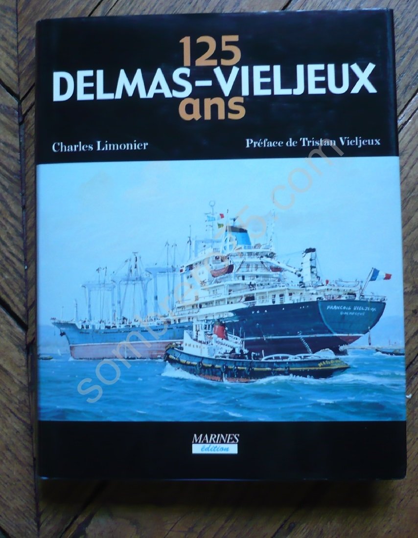 Les 125 ans du groupe Delmas-Vieljeux (1867-1991). Vol. 1. Histoire de la flotte book