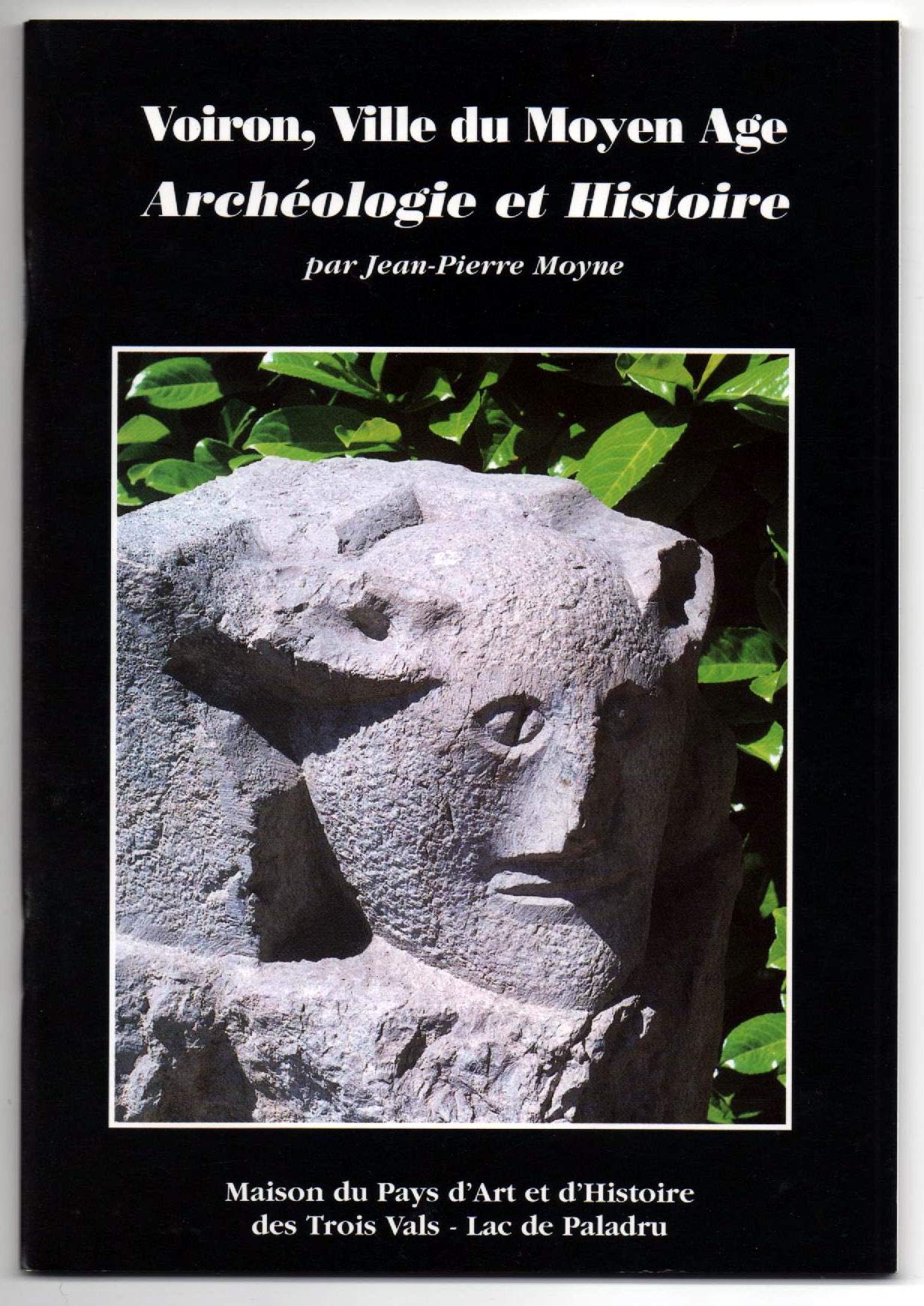 Voiron, ville du Moyen âge : Archéologie et histoire book