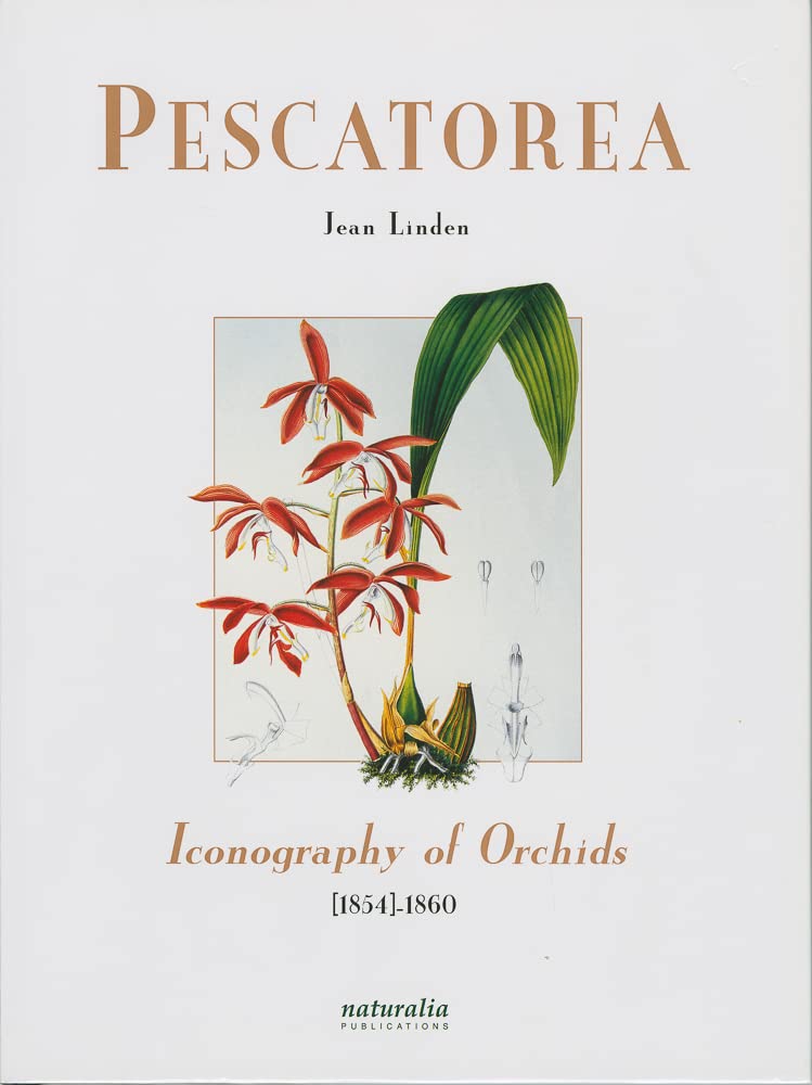 PESCATOREA ORCHIDEENIKONOGRAFIE - ALLEMAND Film, Art & Culture