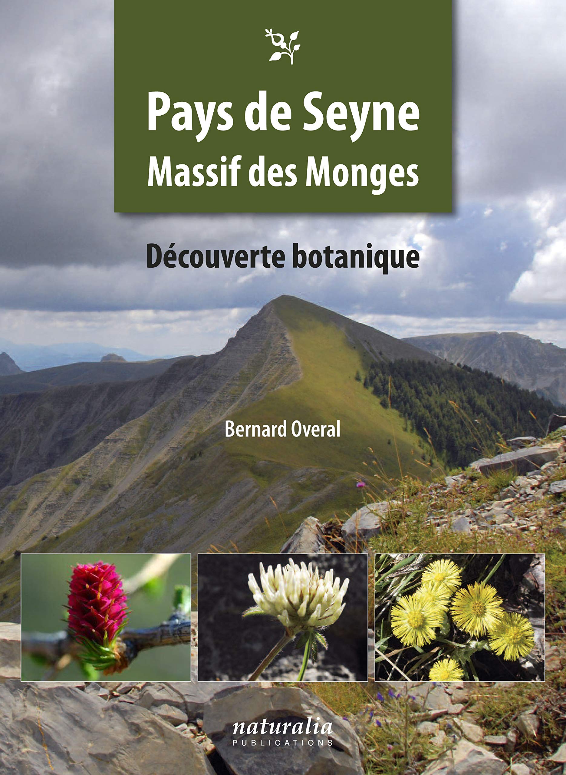 PAYS DE SEYNE. Massif des Monges. Découverte botanique Leisure, Home & Garden