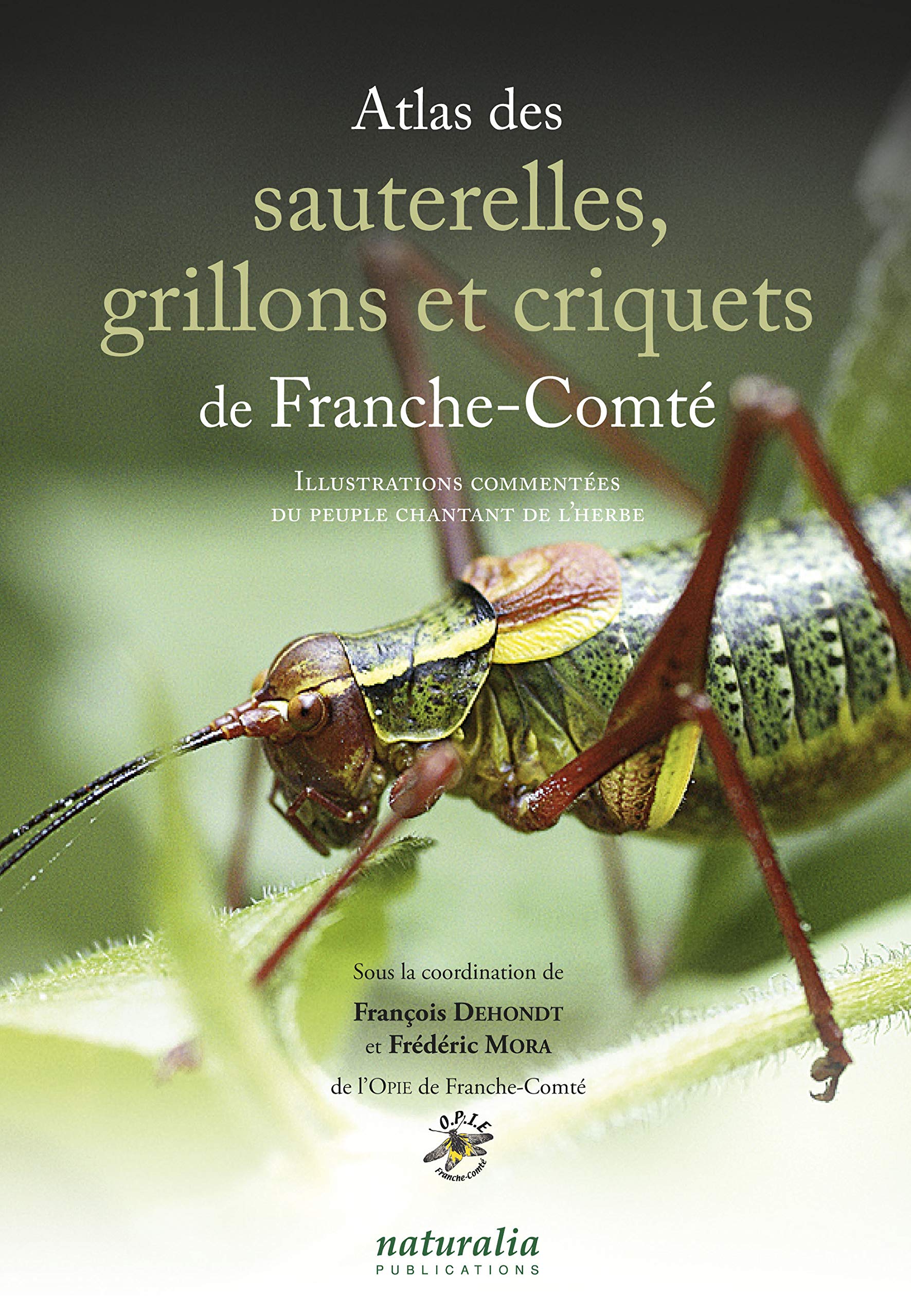 Atlas des sauterelles, grillons et criquets de Franche-Comté book
